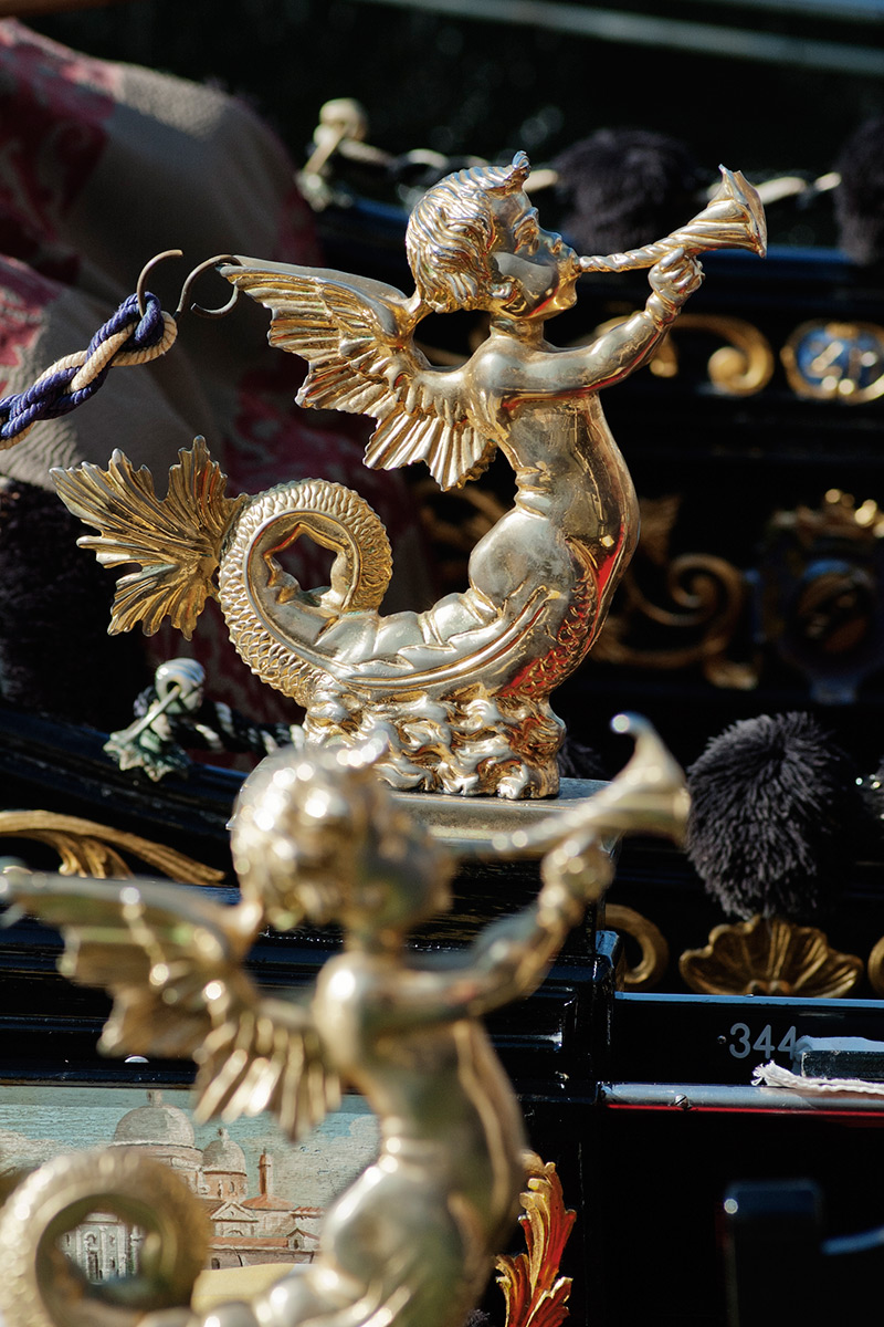 Italy — Venice, Veneto — macro