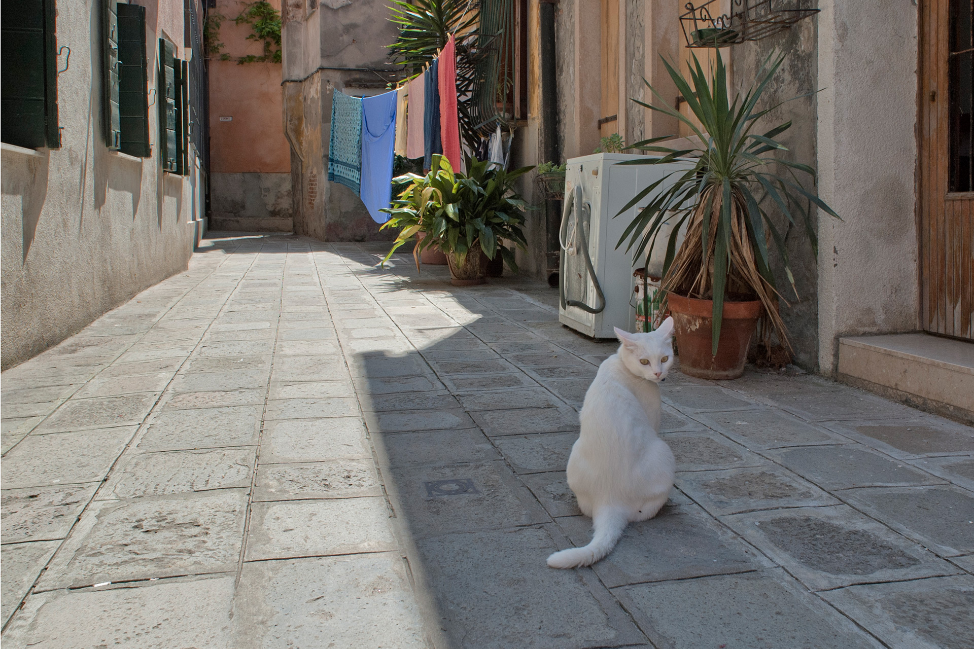 Italy — Venice (Venezia), Veneto — urban