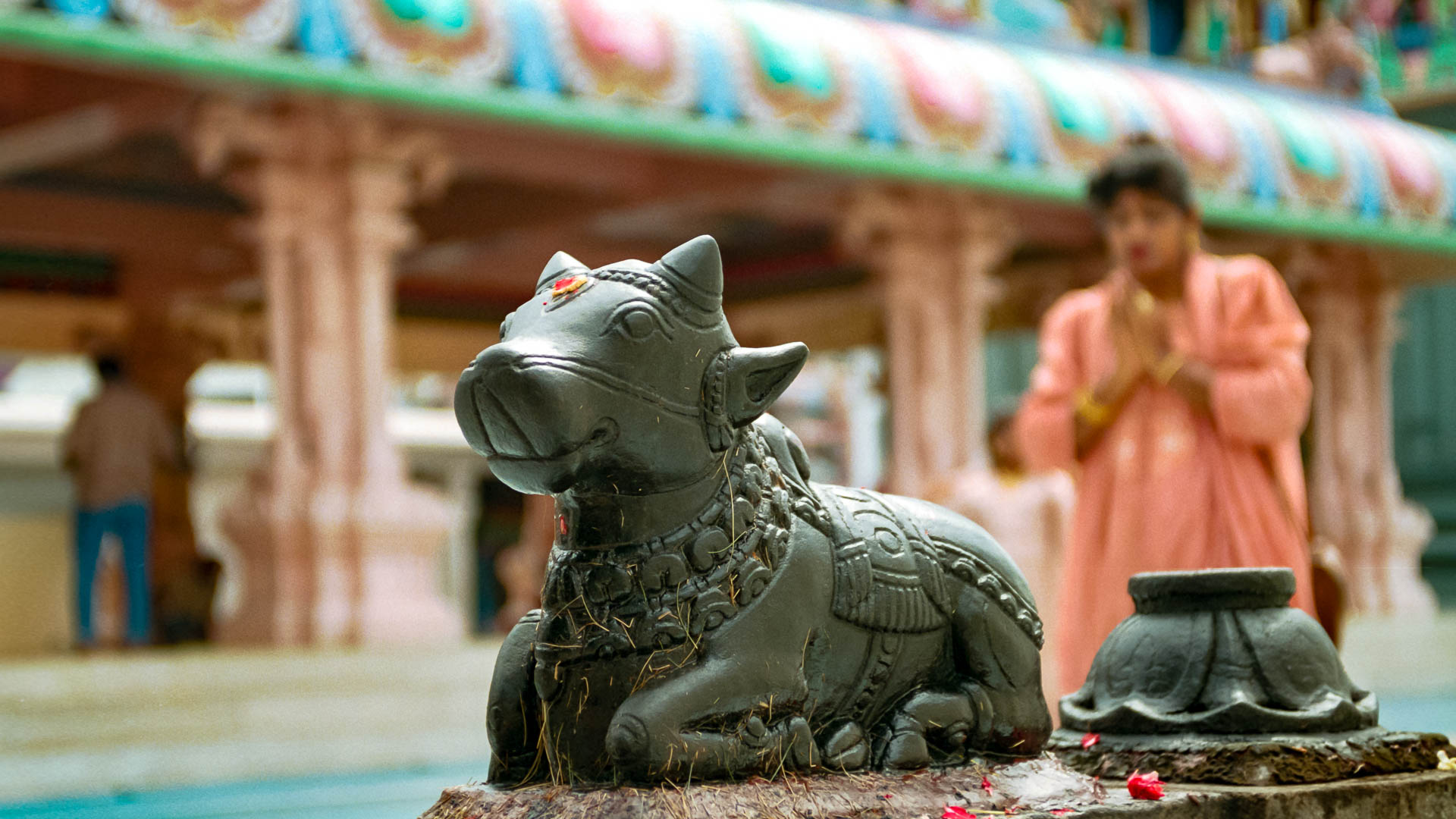 Malaysia — Malaysia — other