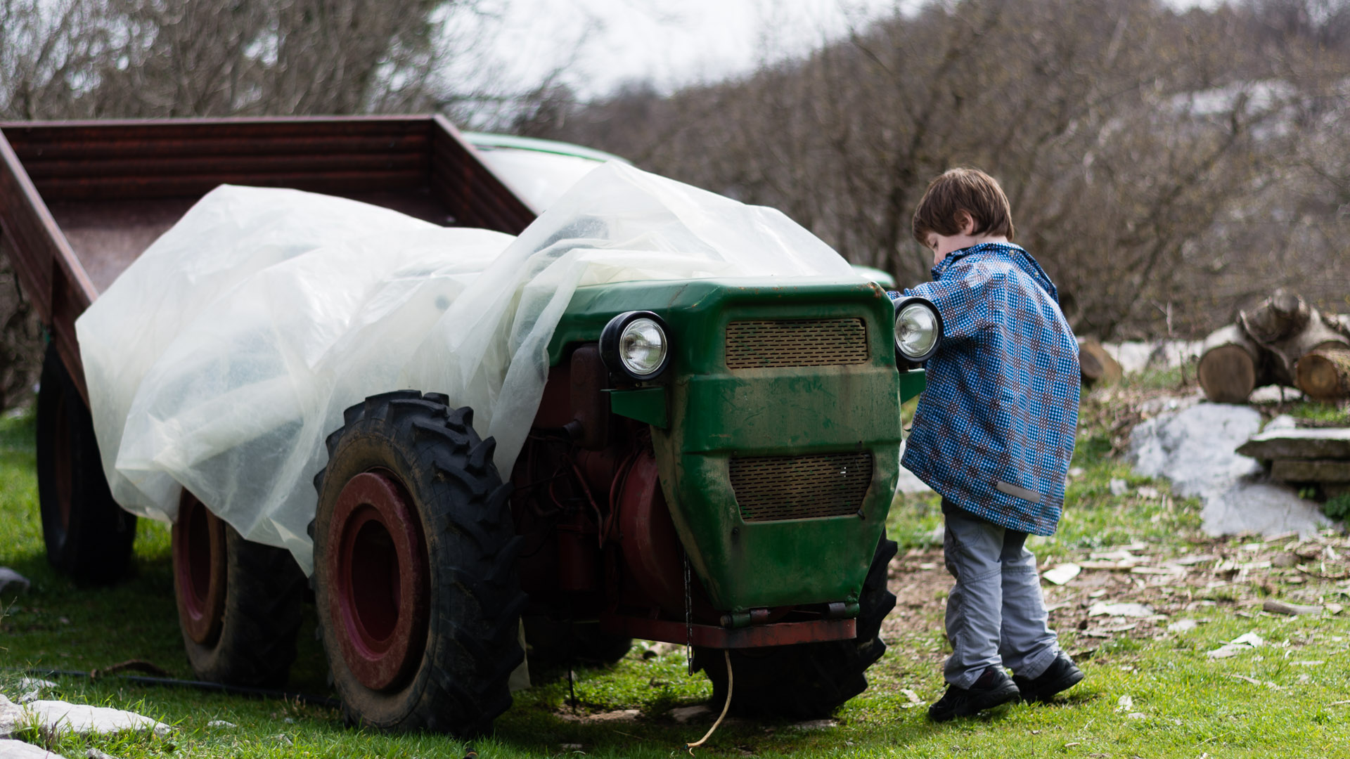 Montenegro — Montenegro — other