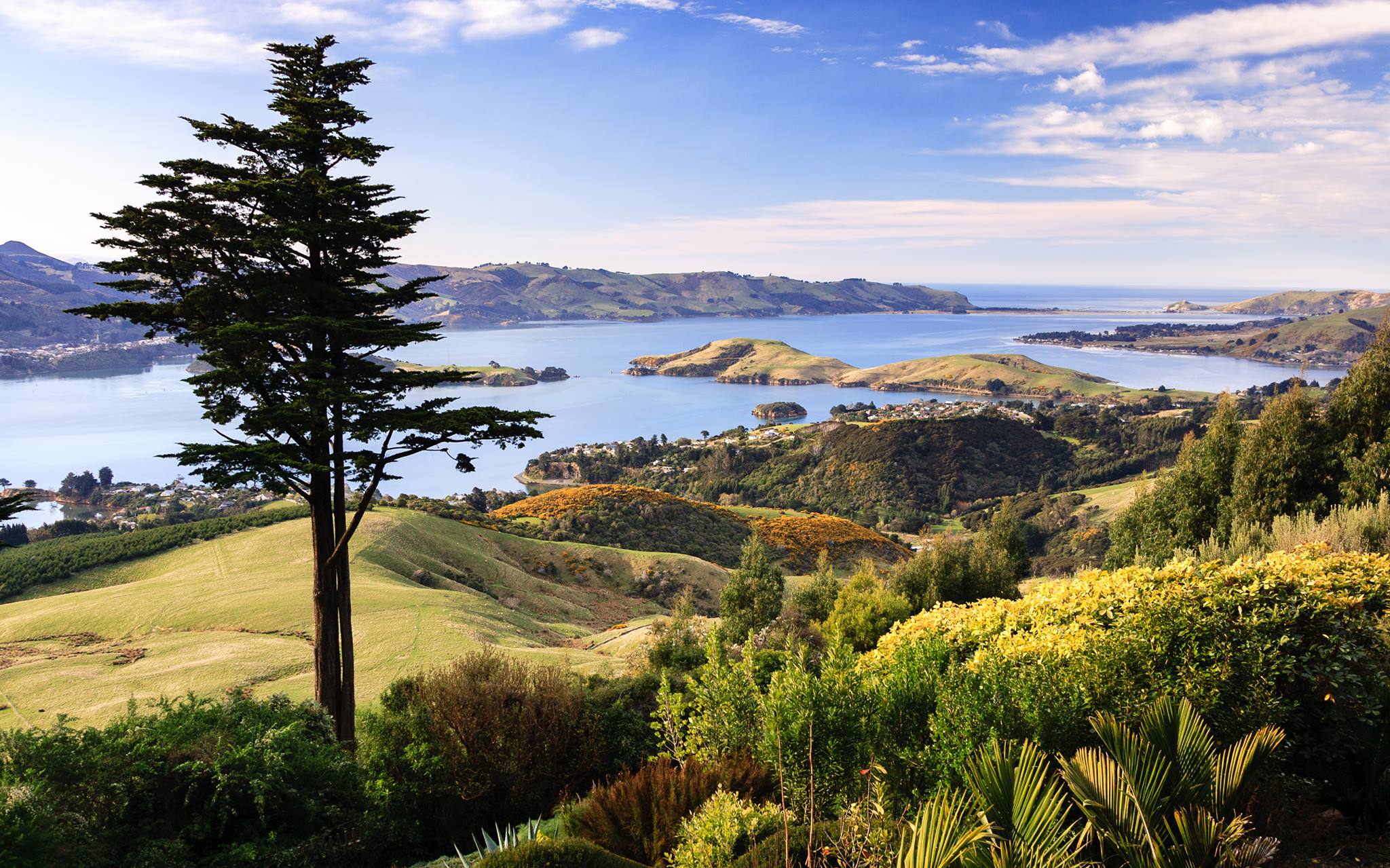 New Zealand — Otago Peninsula, Dunedin — landscape