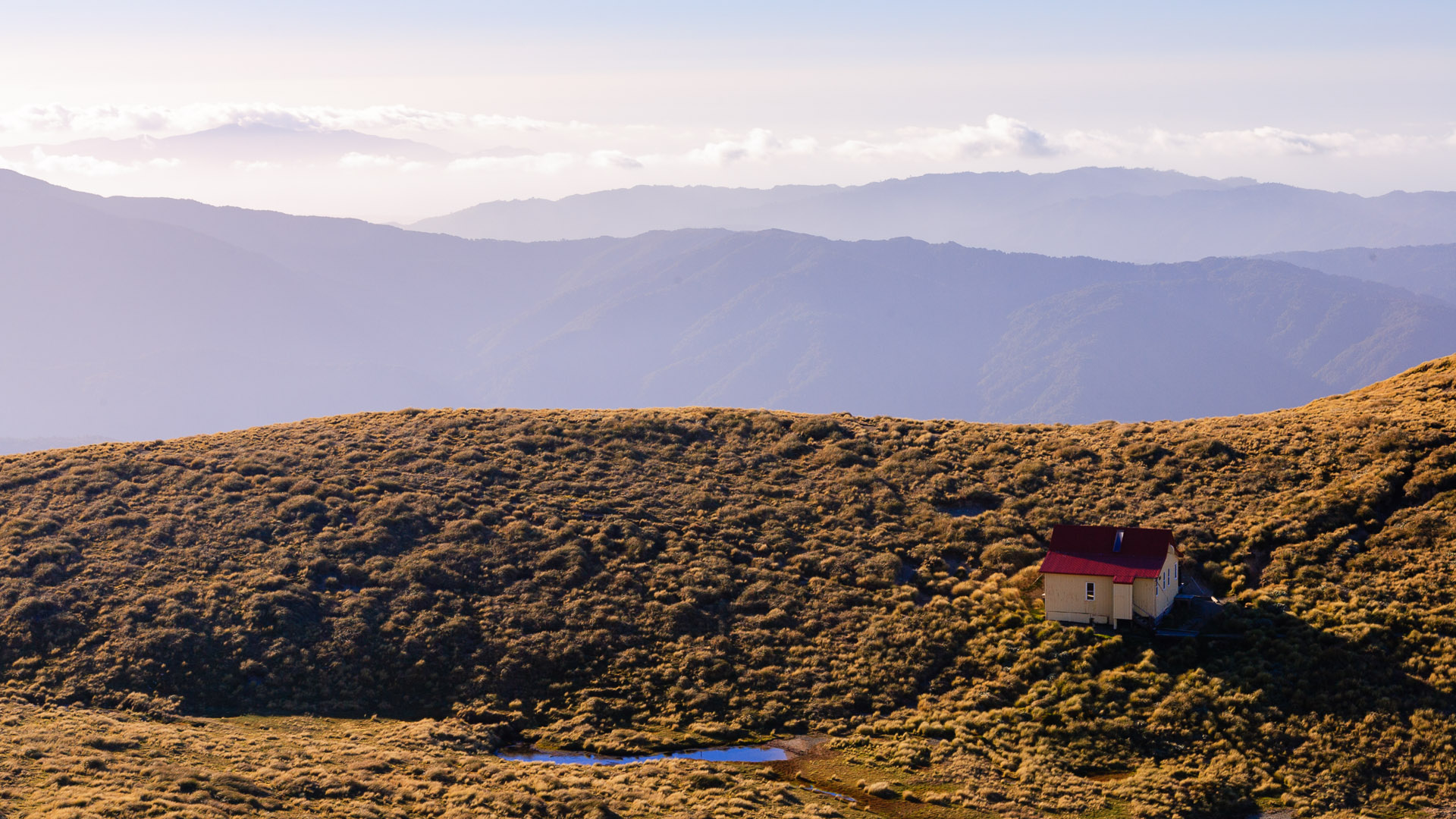 New Zealand — Tararua Range, Wellington / Manawatu-Whanganui — landscape
