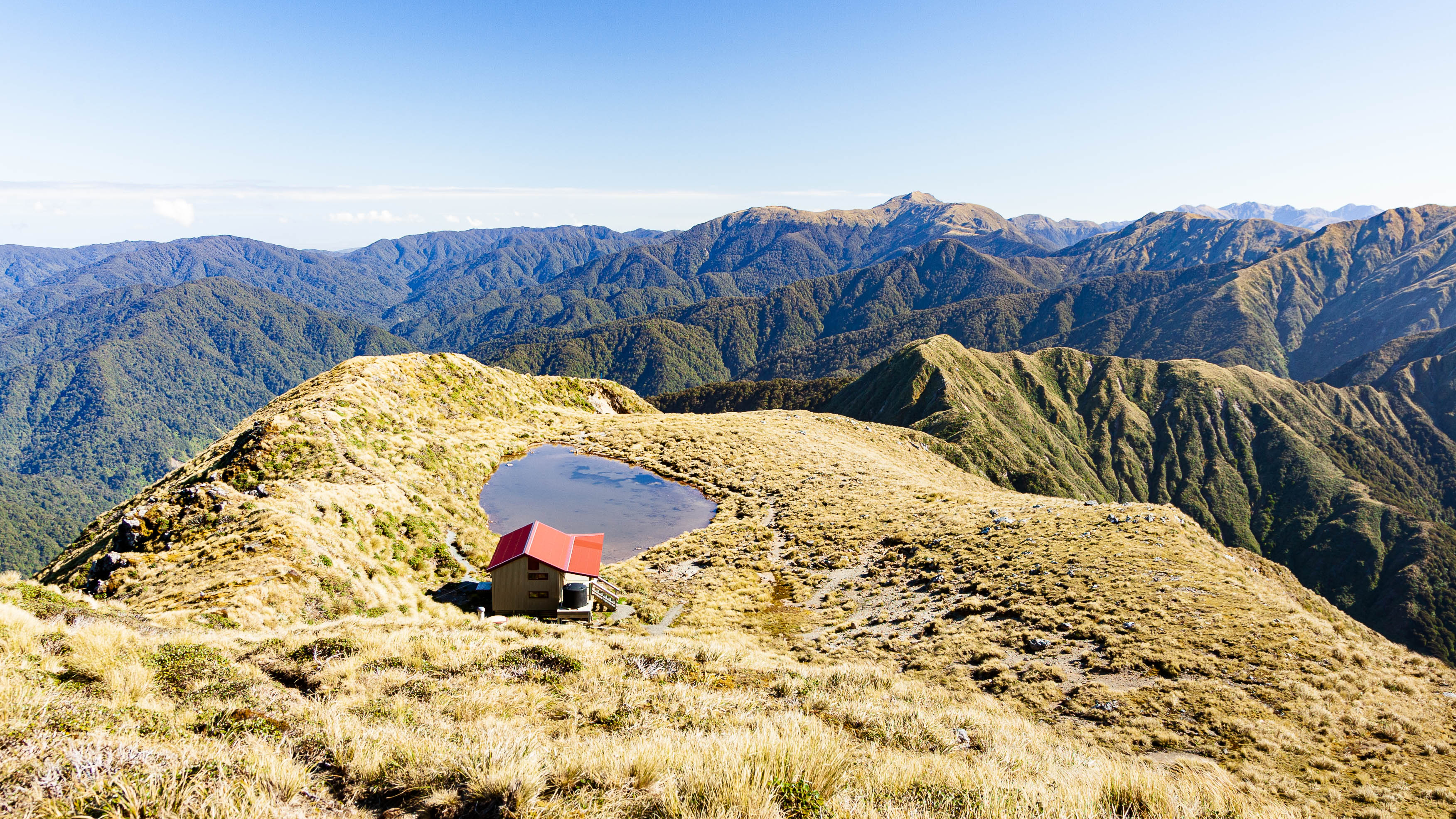 New Zealand — Wellington Region, Tararua Forest Park — landscape