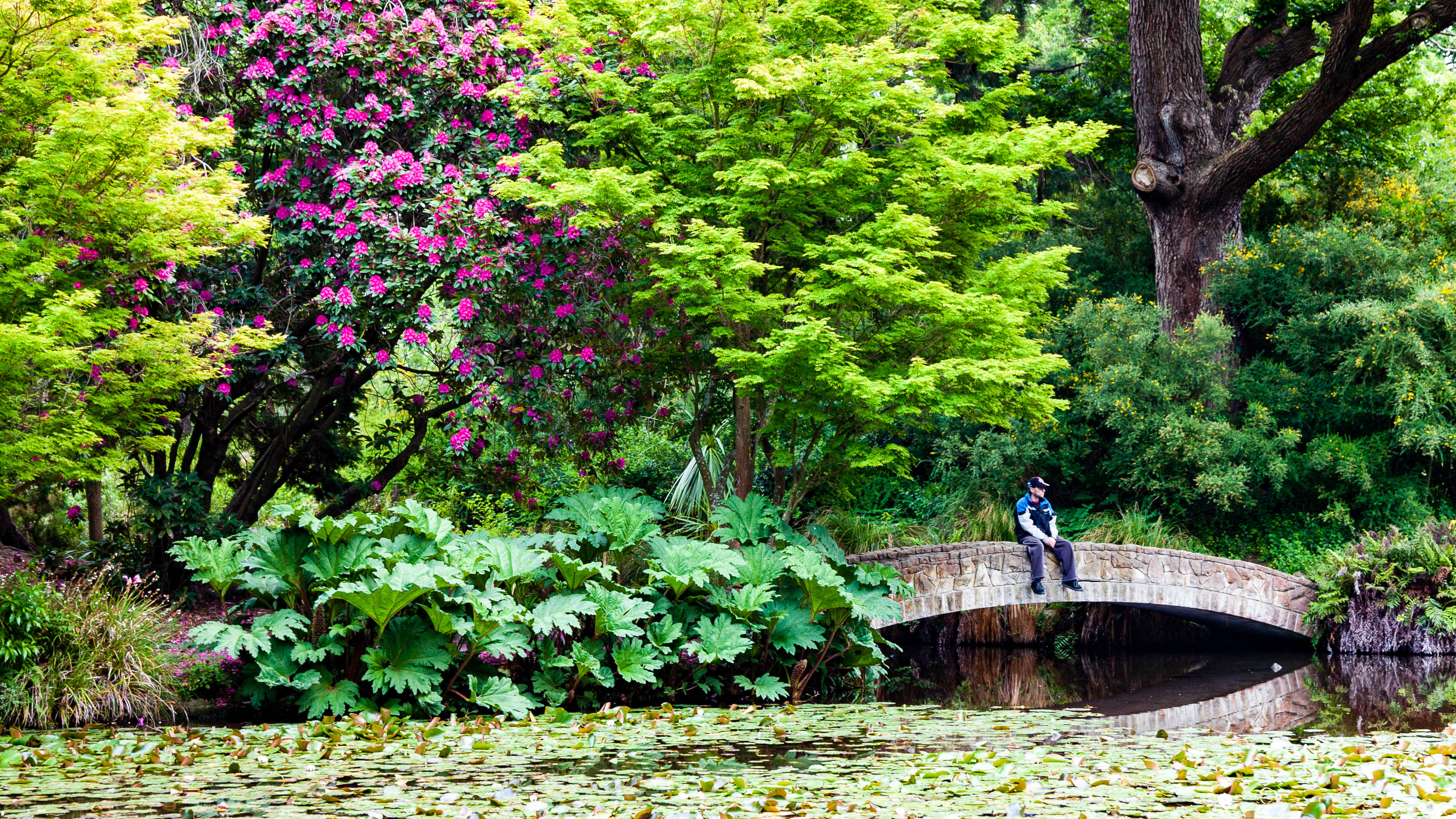 New Zealand — Christchurch, Canterbury — landscape