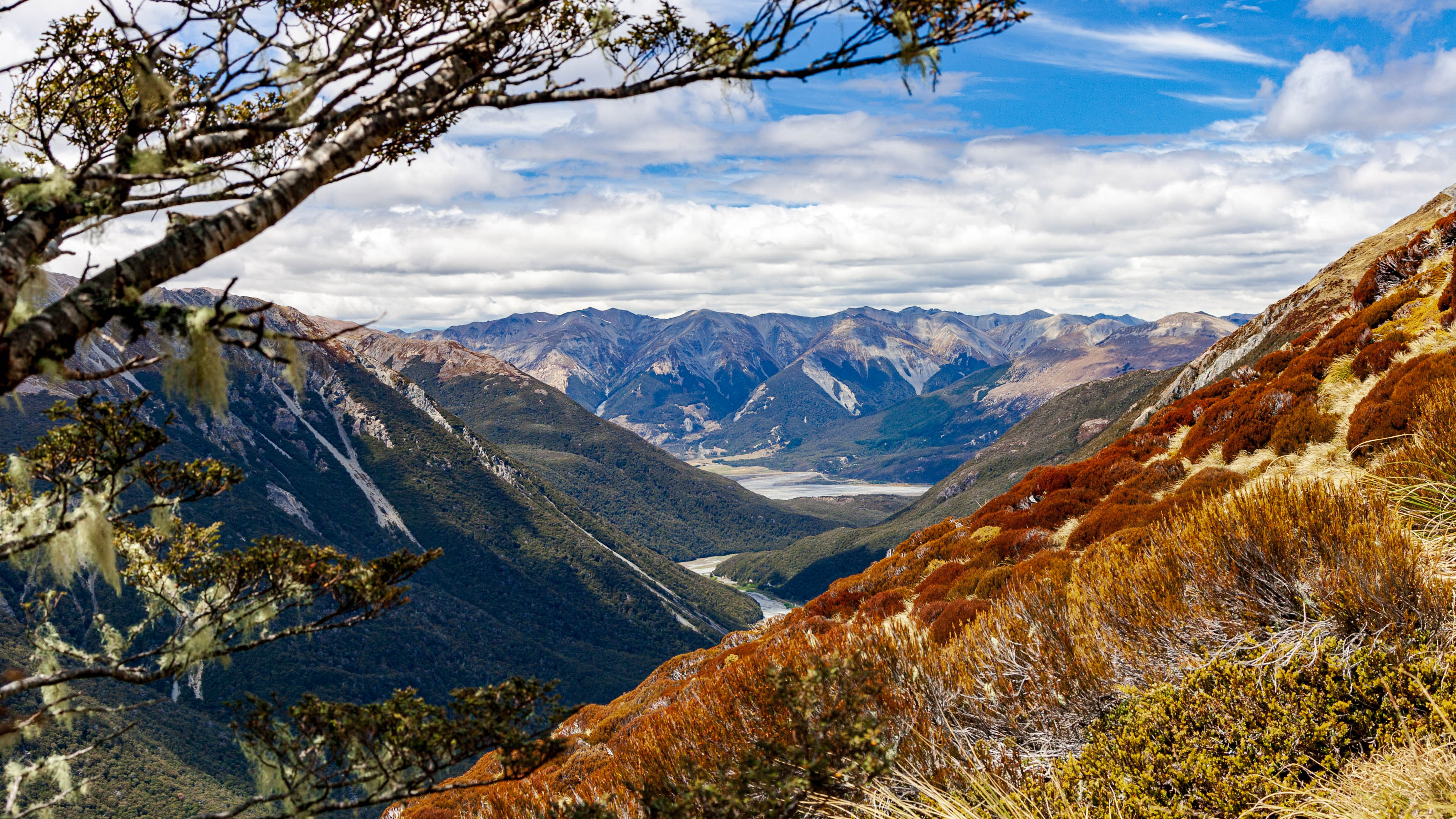 New Zealand — Canterbury, South Island (likely Arthur's Pass National Park) — landscape