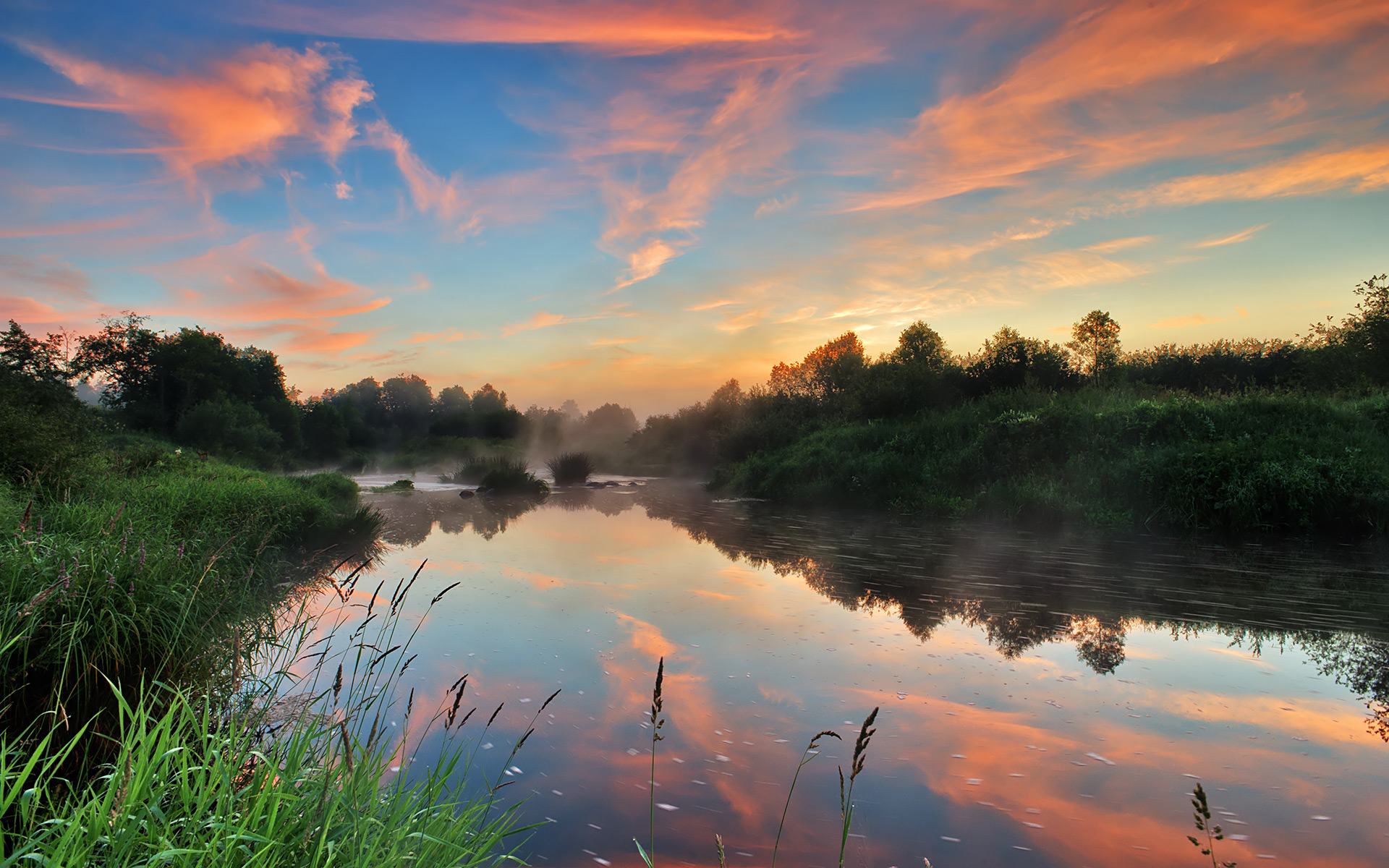 Russia — Central Russia or Northwestern Russia — landscape