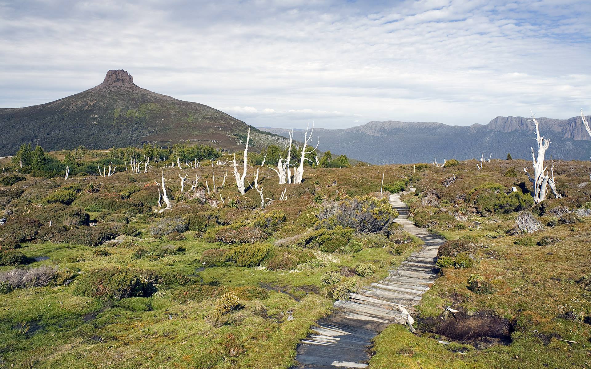 Australia — Tasmania — landscape