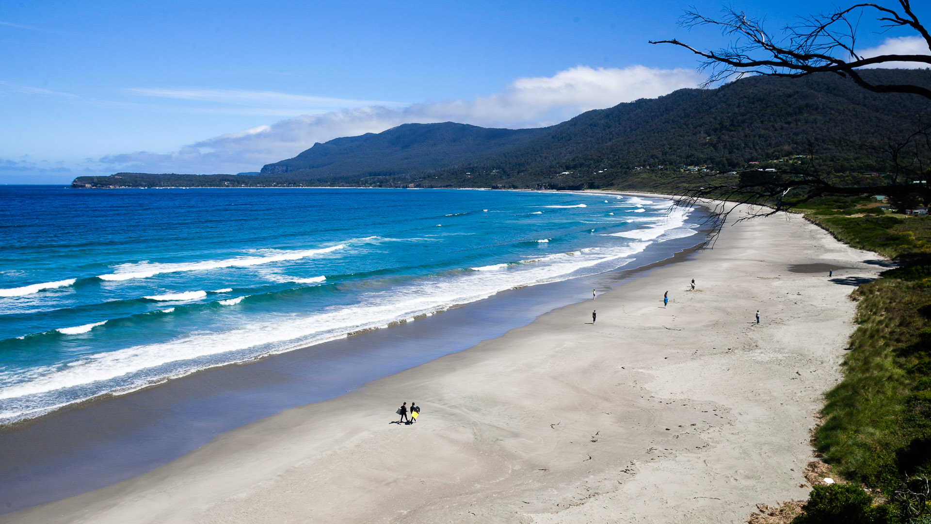 Australia — Tasmania — landscape