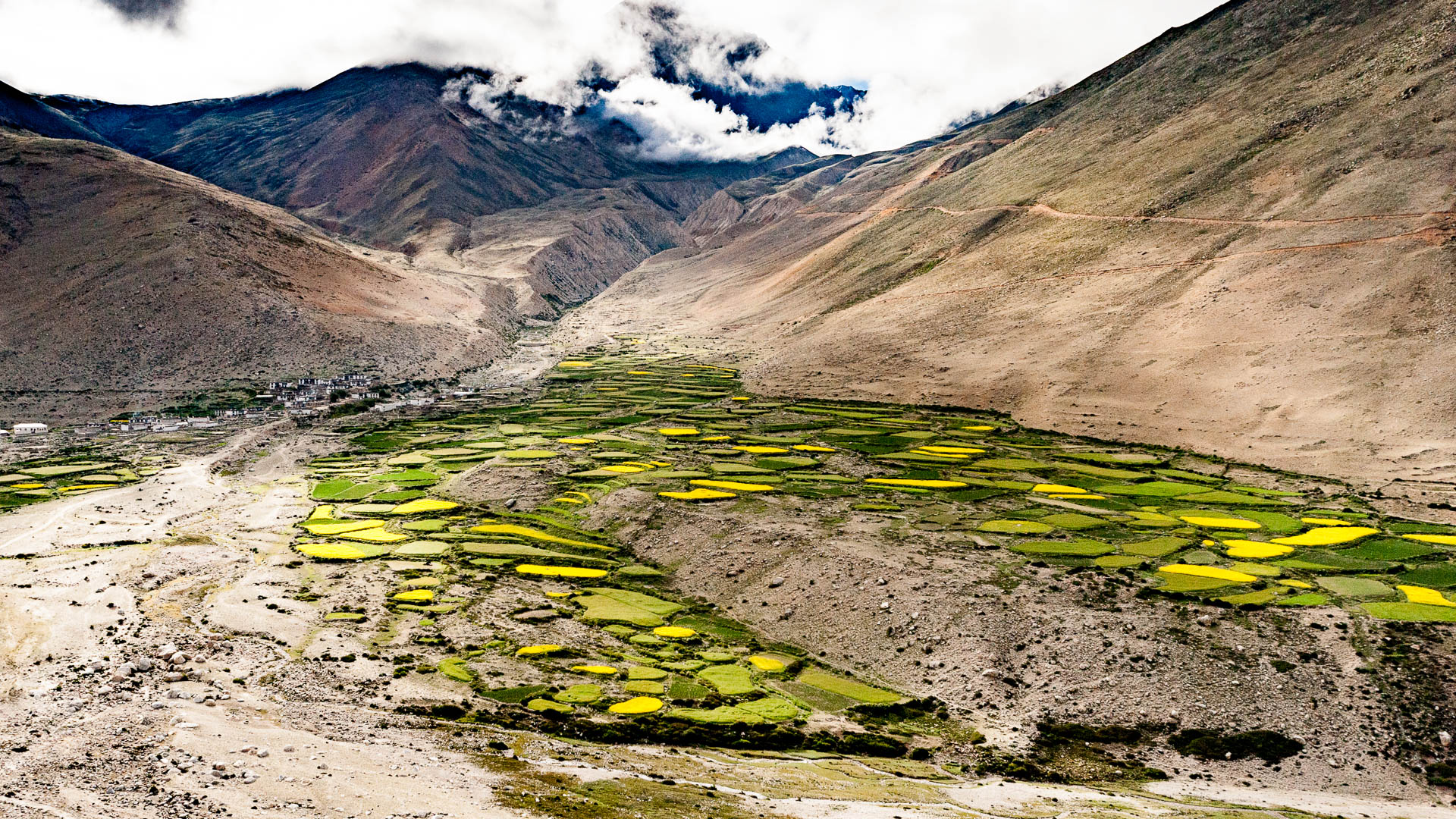 China — Tibet — landscape
