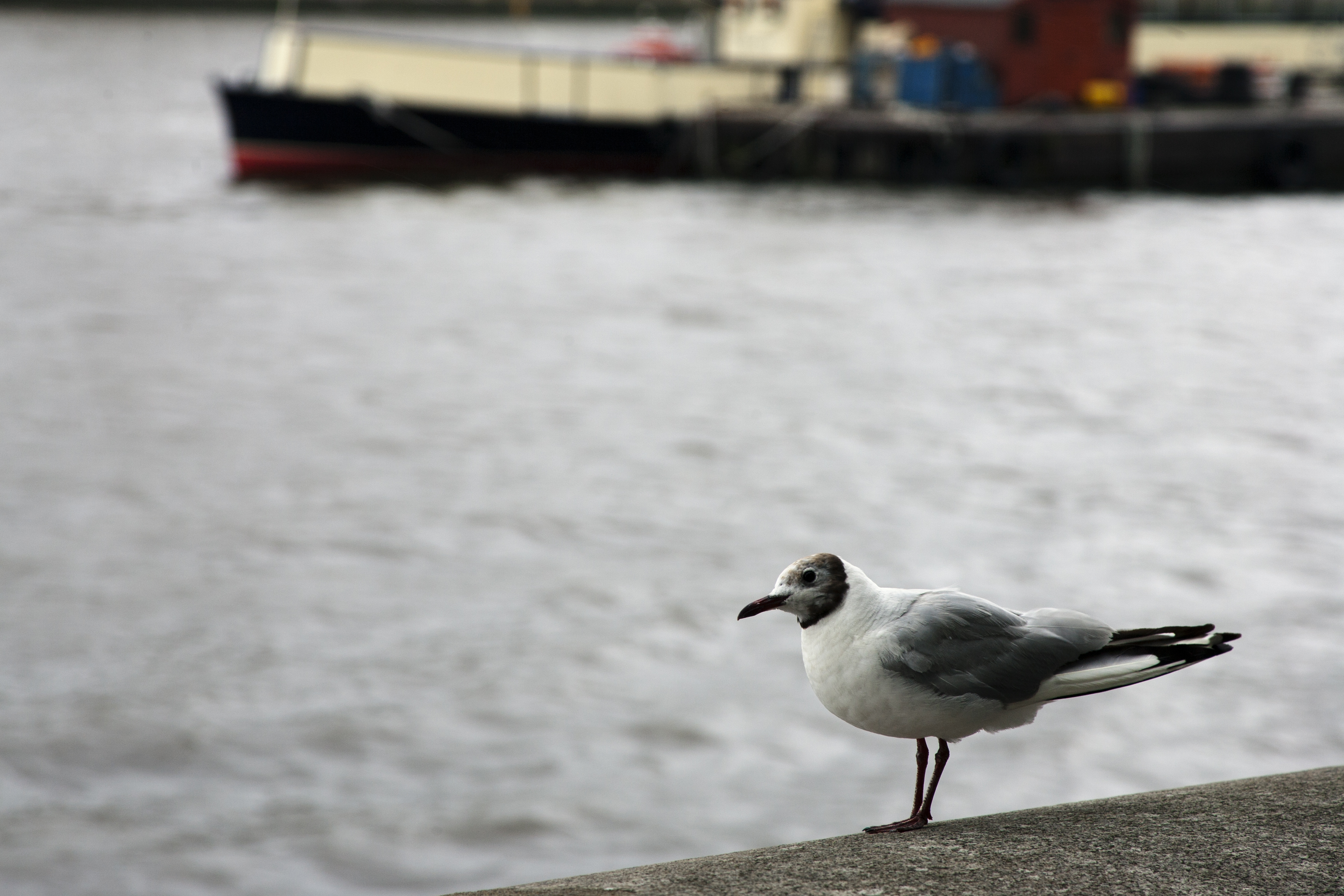United Kingdom — London — landscape