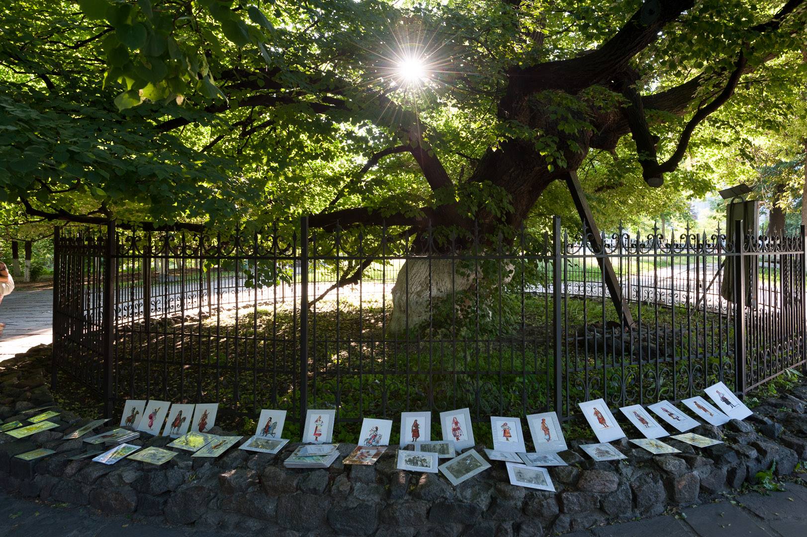 Ukraine — Kyiv — urban