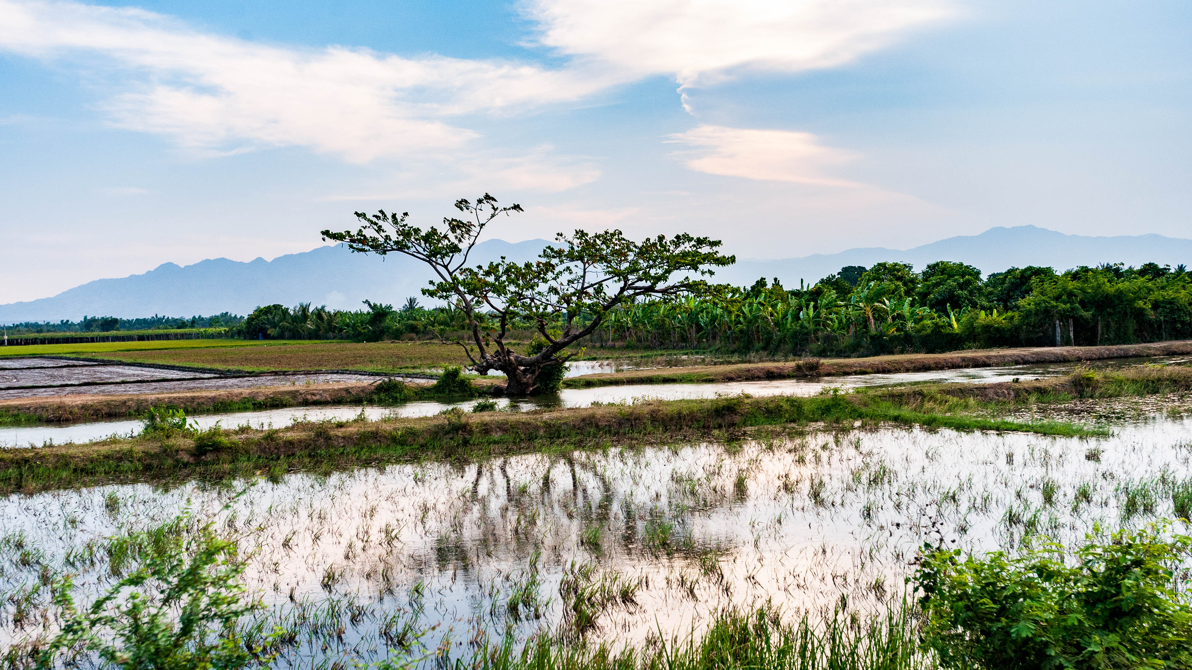 Vietnam — Vietnam — landscape