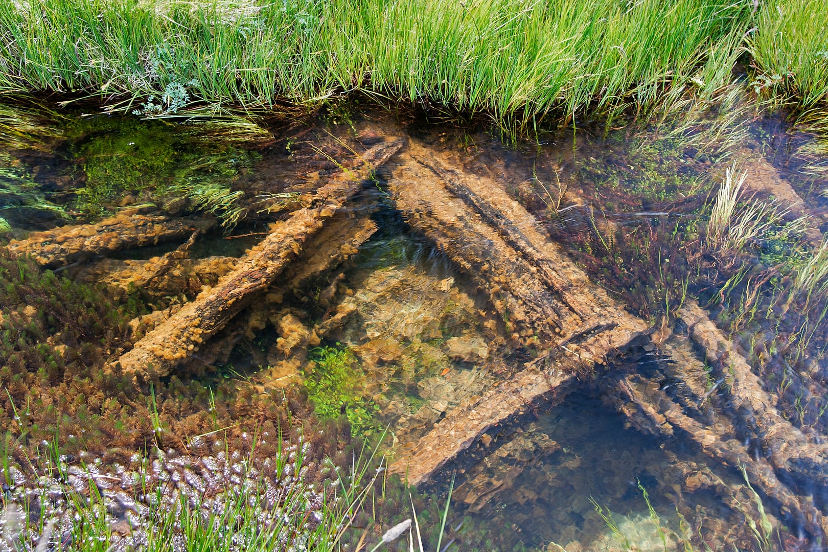 Unknown — Unknown — landscape