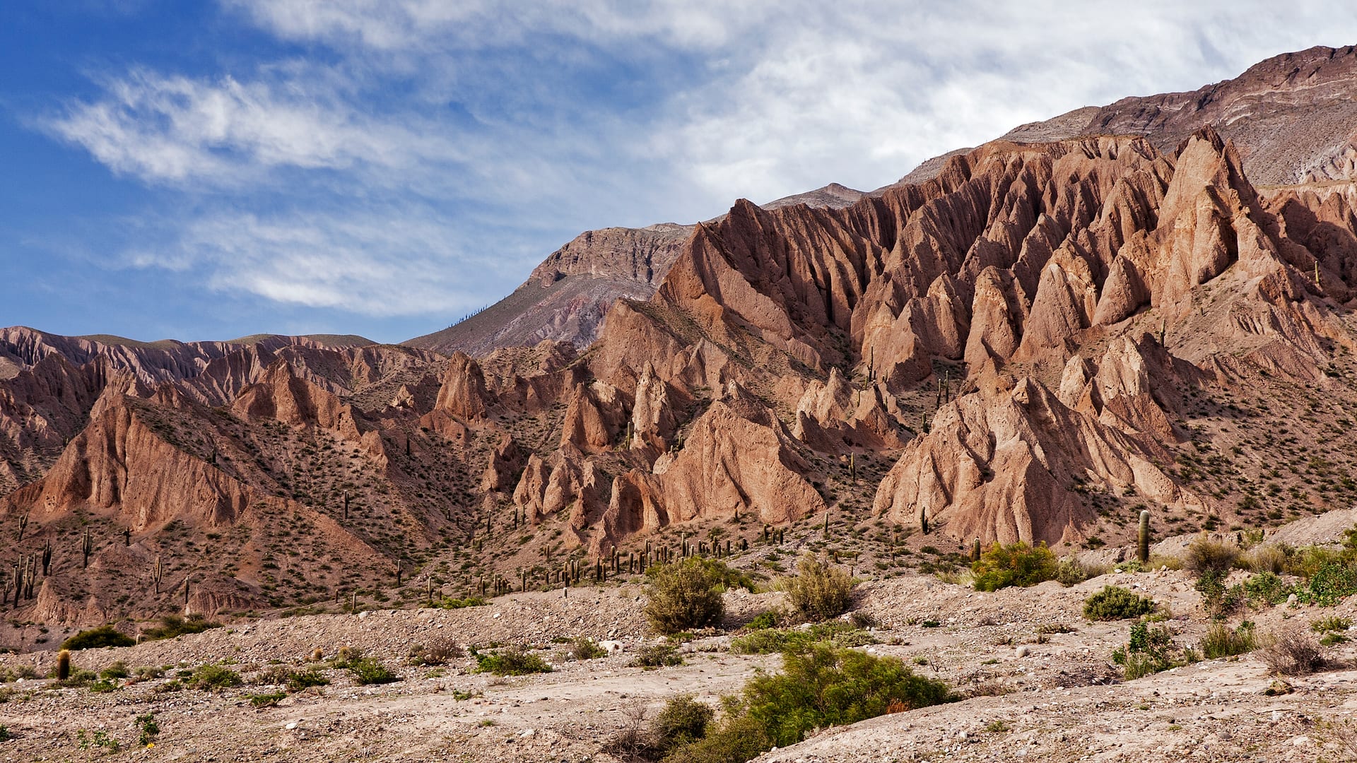 Argentina — Salta — landscape