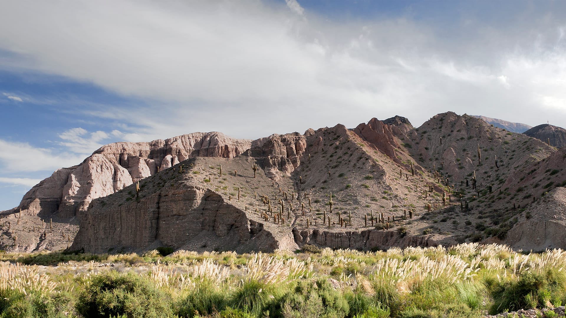 Argentina — Salta — landscape