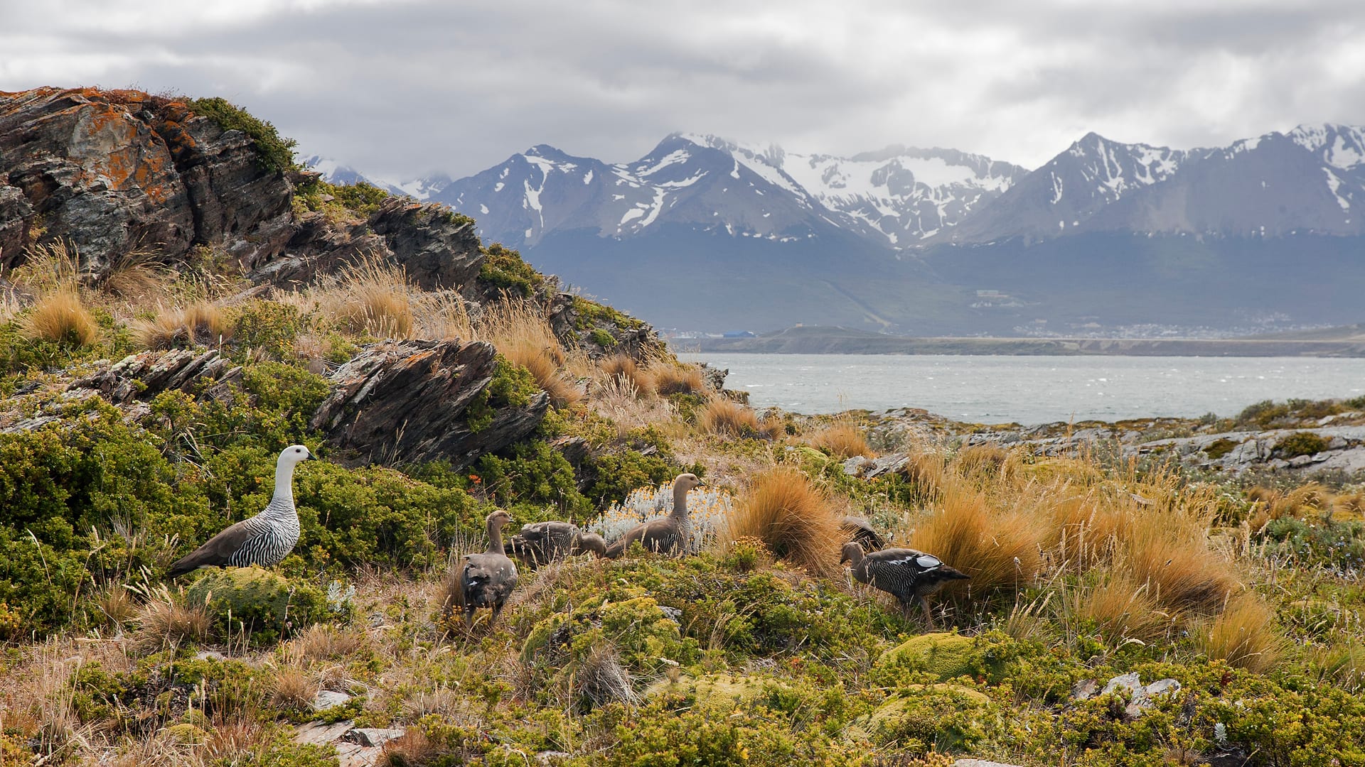 Argentina — Ushuaia — landscape