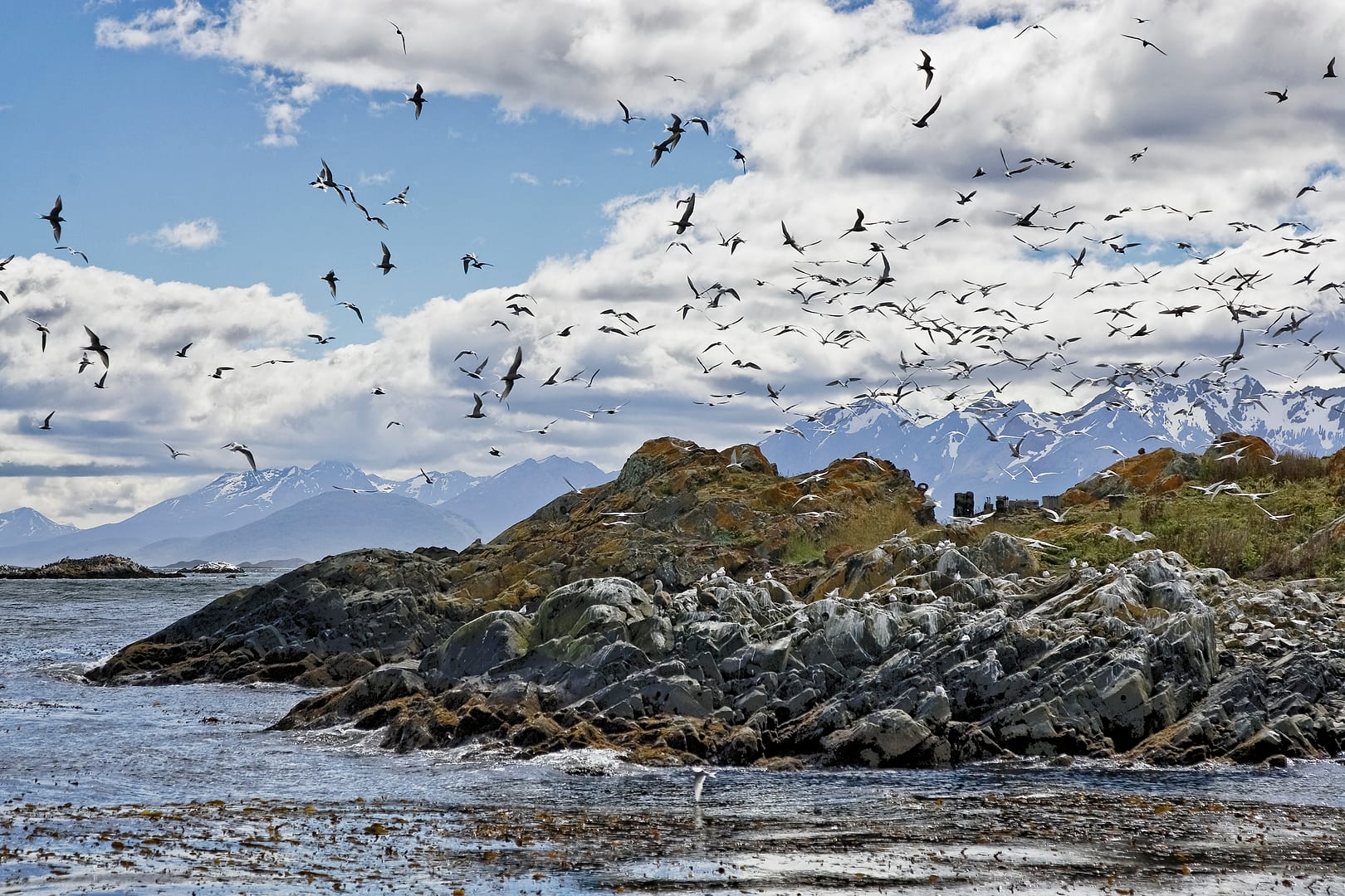 Argentina — Ushuaia — landscape
