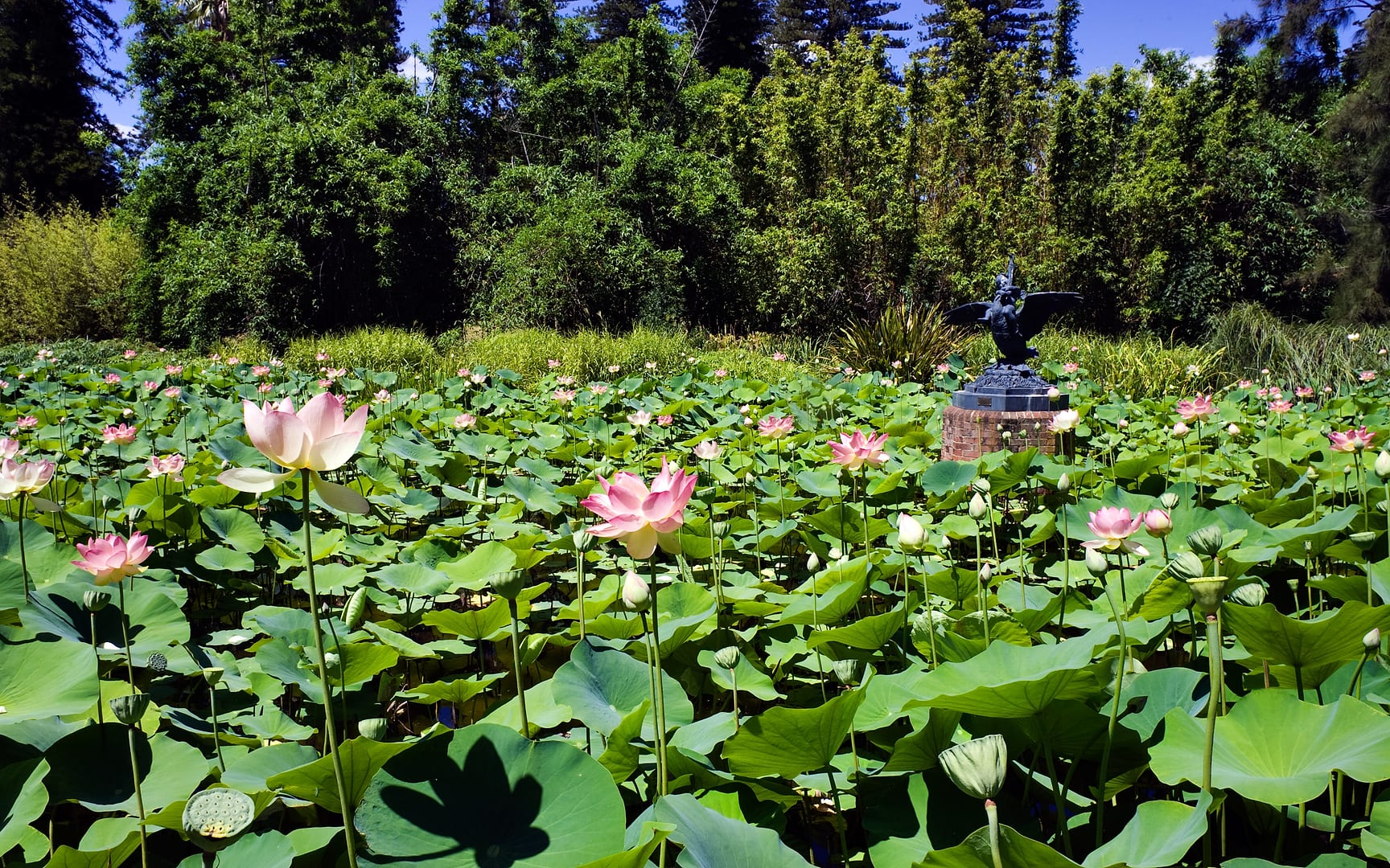 Australia — Adelaide — landscape