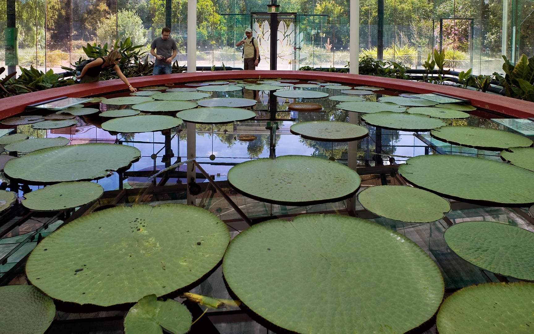 Australia — Adelaide — landscape