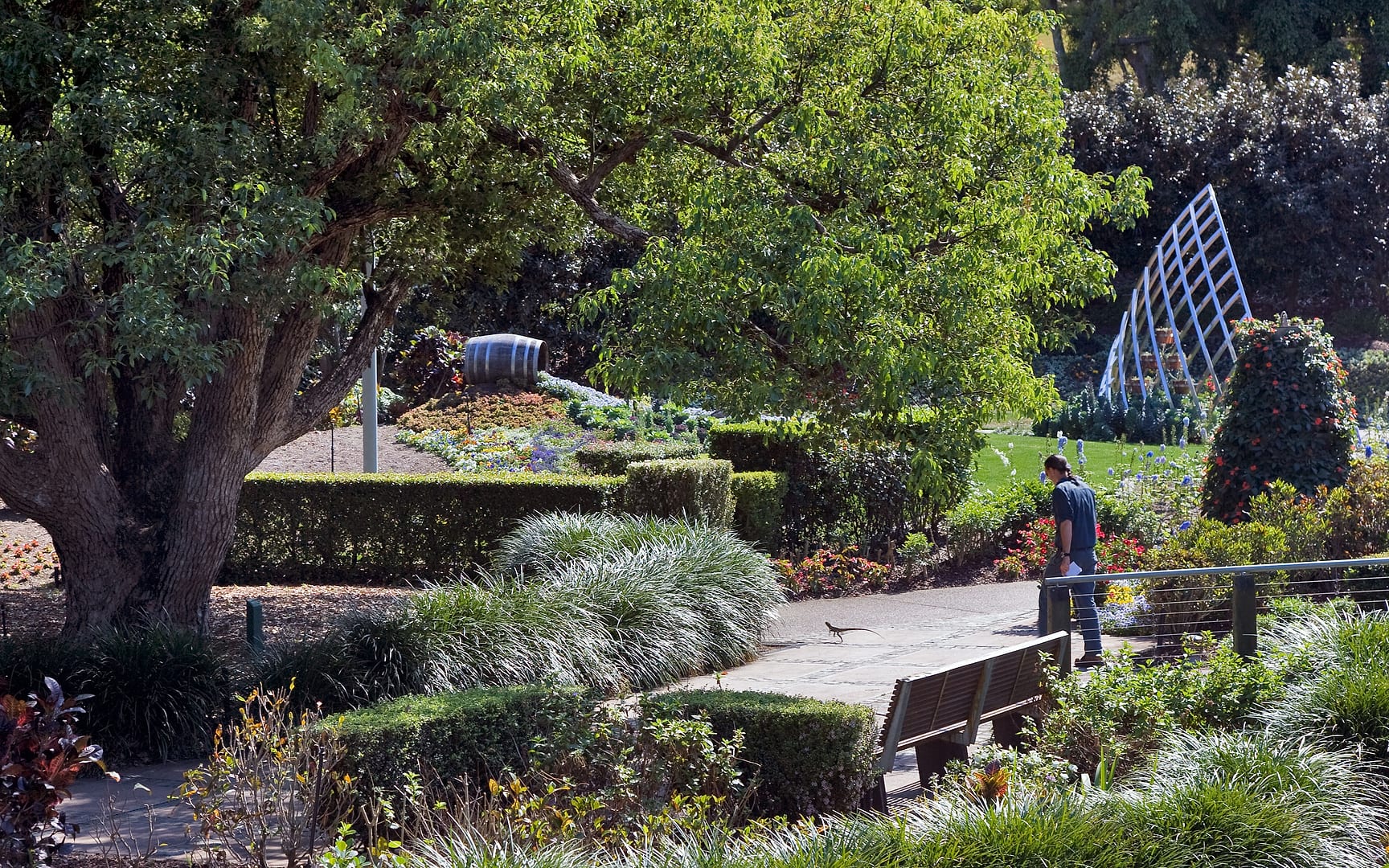 United States — California — landscape