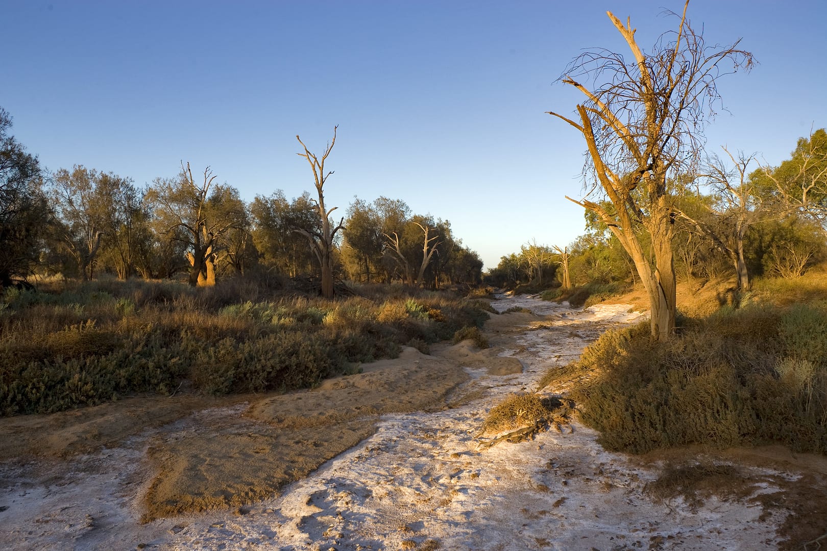 Australia — Outback — landscape
