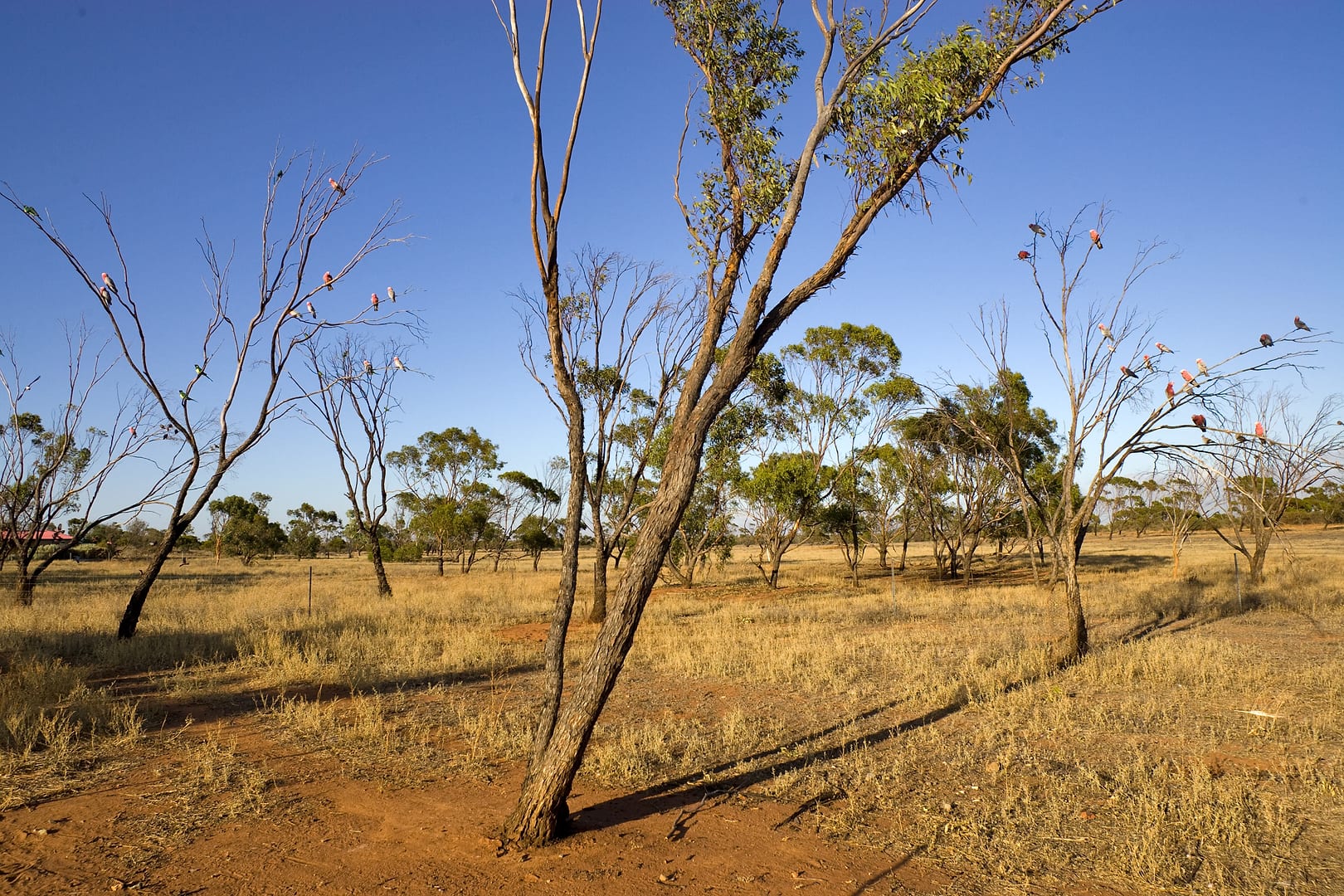 Australia — Australia — landscape