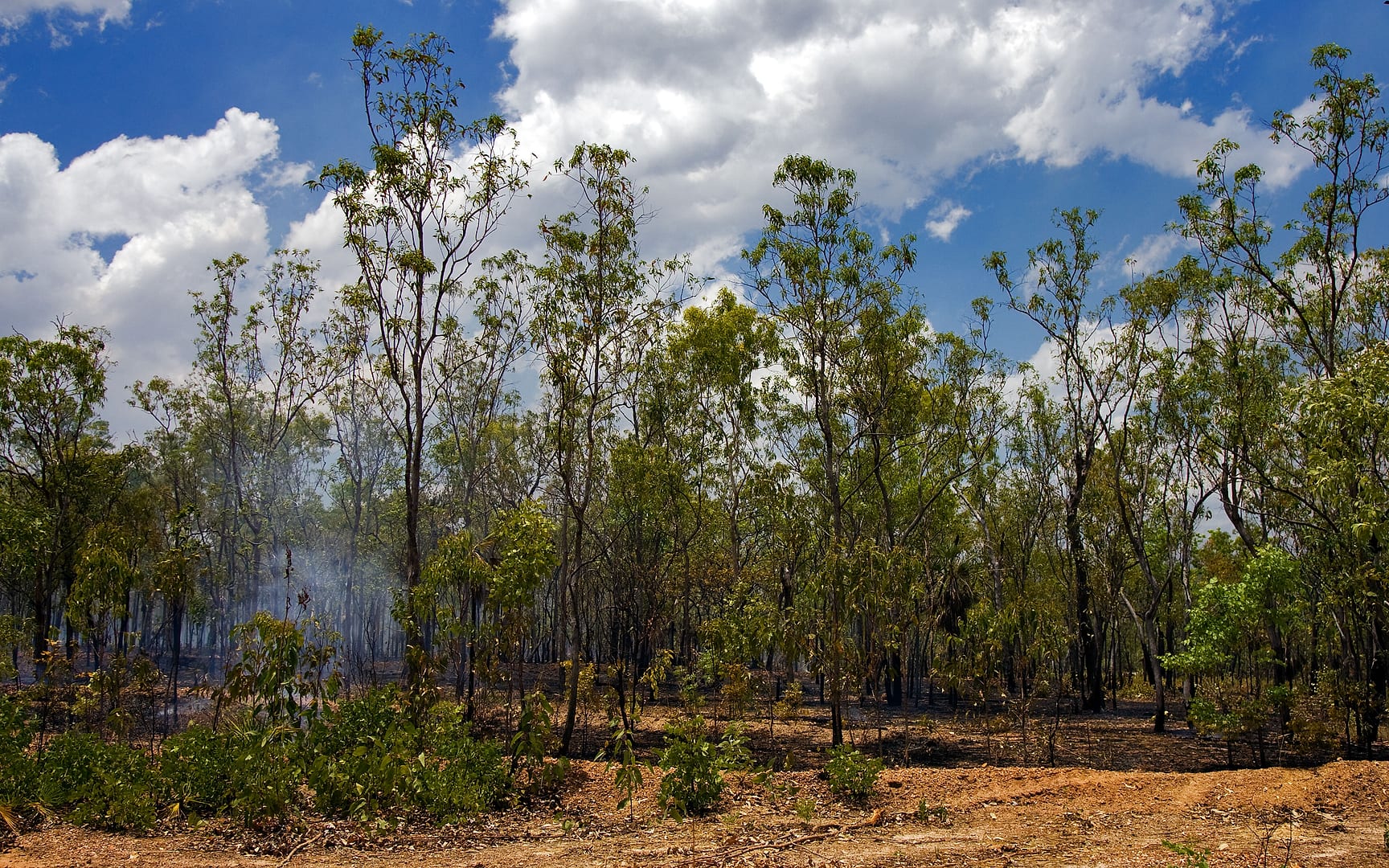 Australia — Kakadu — landscape