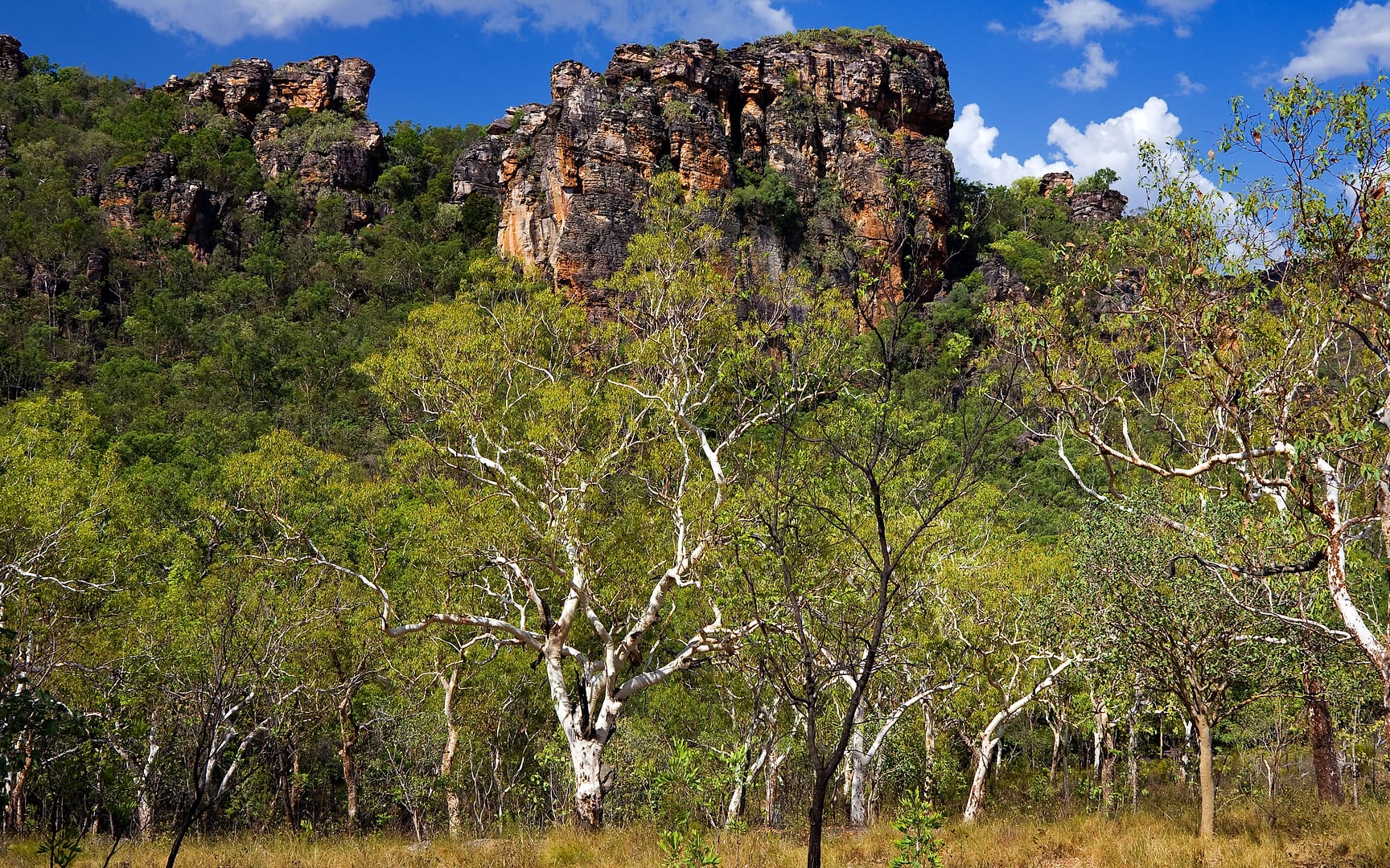 Australia — Kakadu — landscape