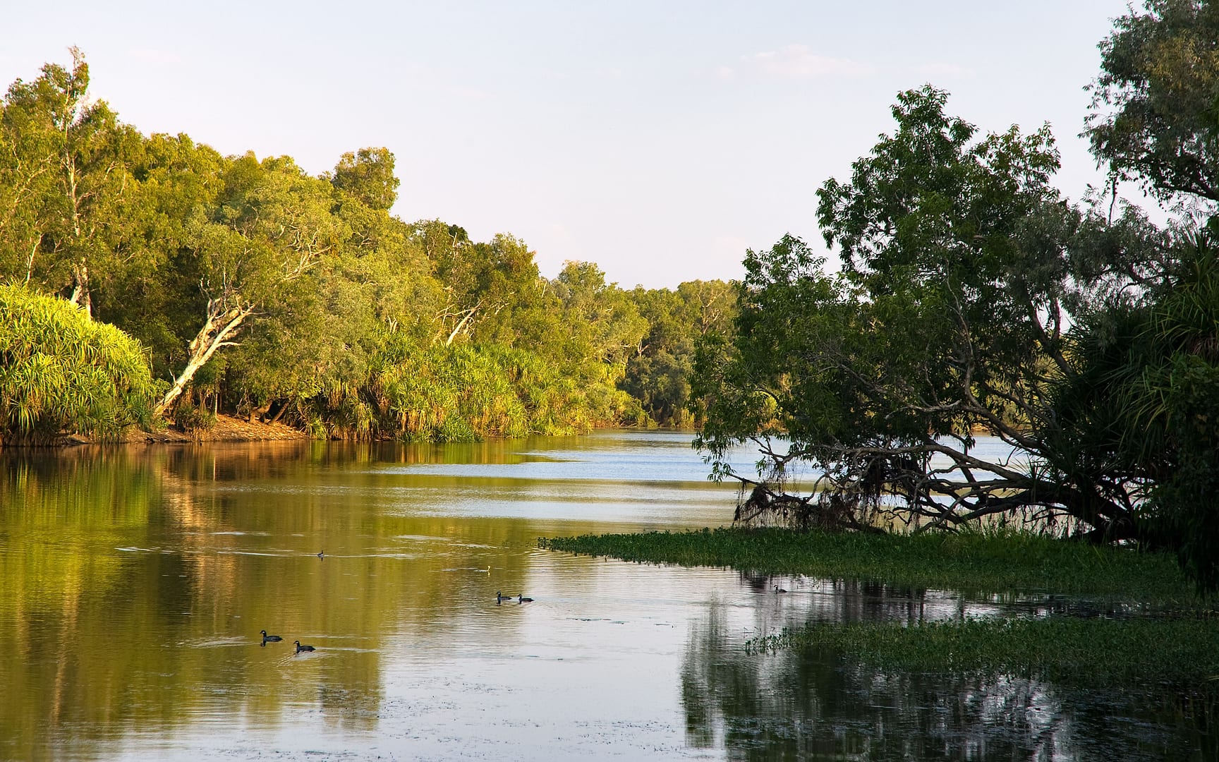 Australia — Kakadu — landscape