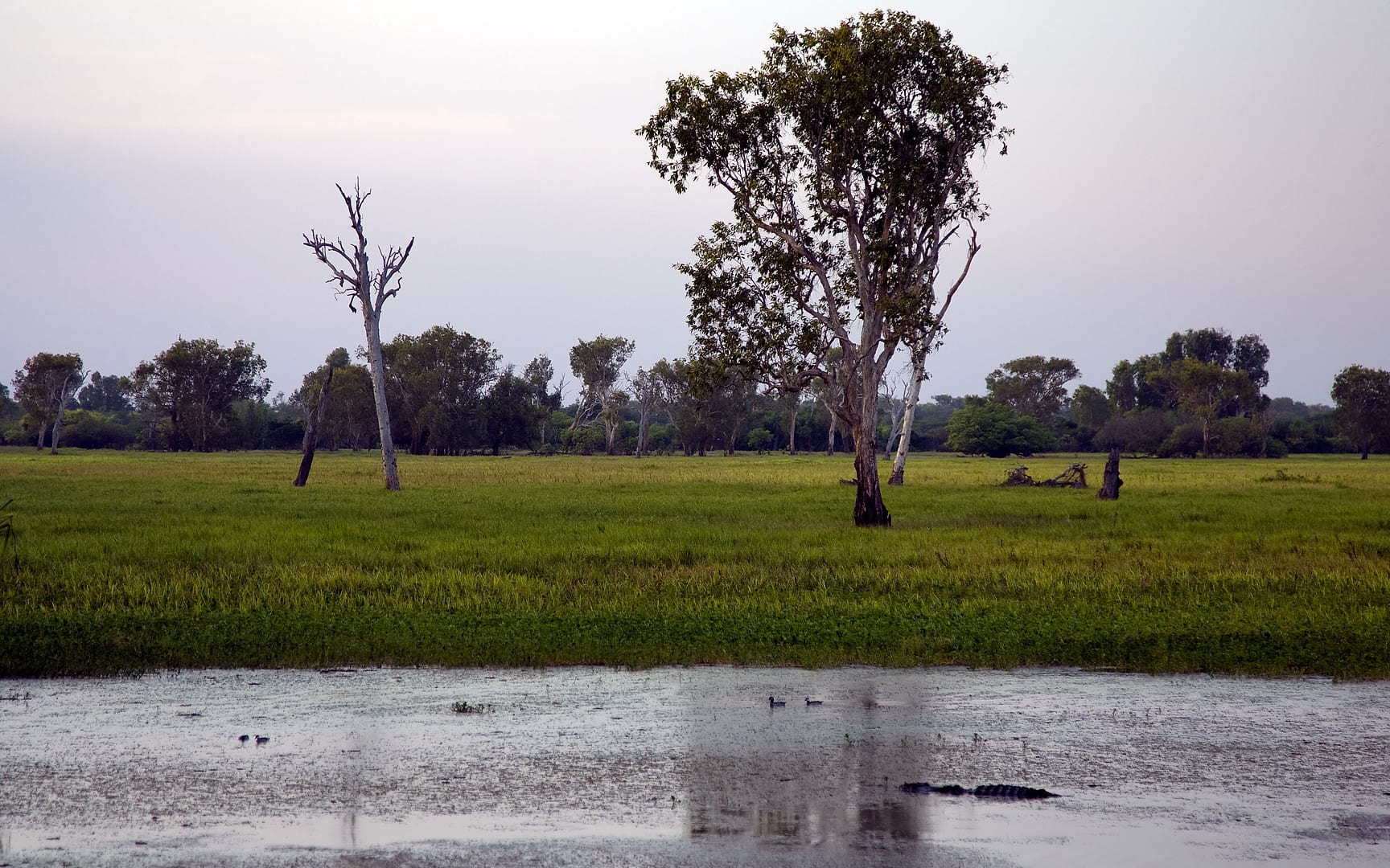 Australia — Kakadu — landscape