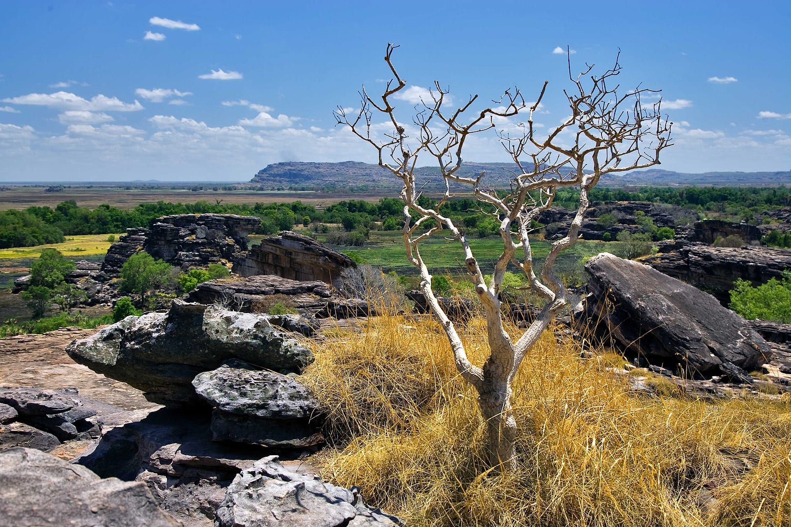 Australia — Kakadu — landscape