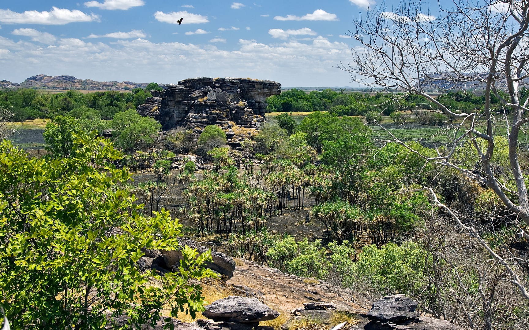 Australia — Kakadu — landscape