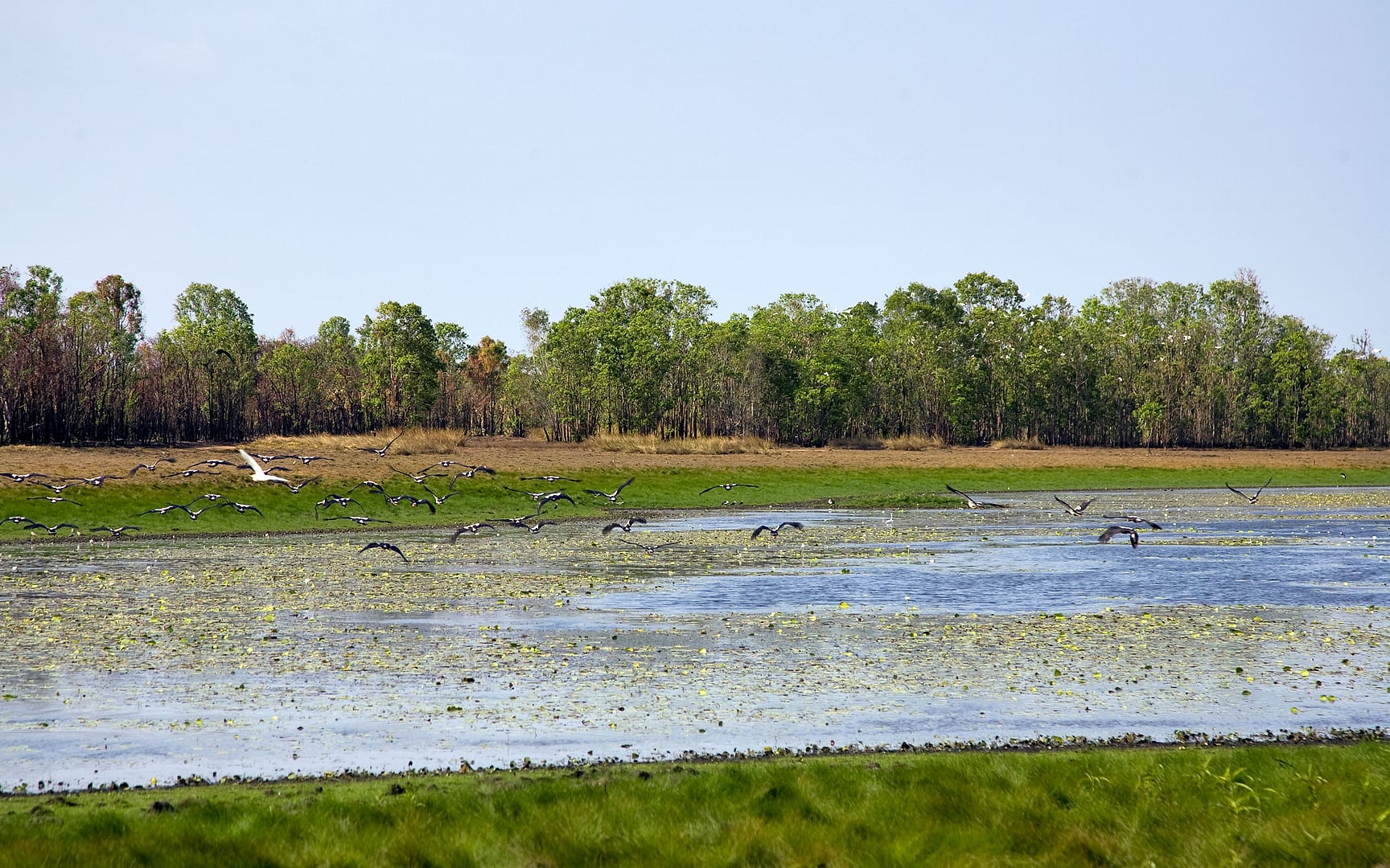 Australia — Kakadu — landscape