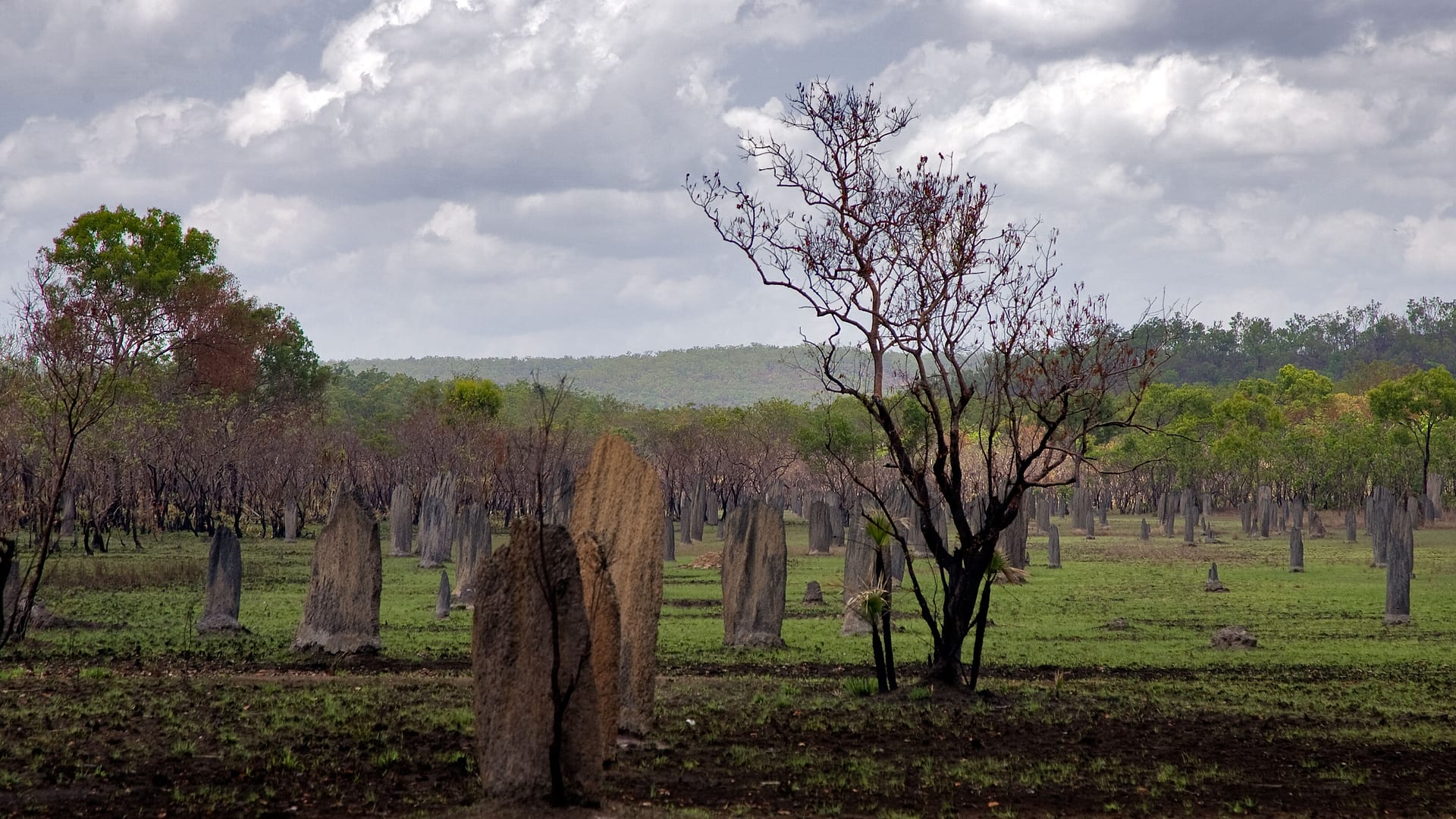 Australia — Kakadu — landscape