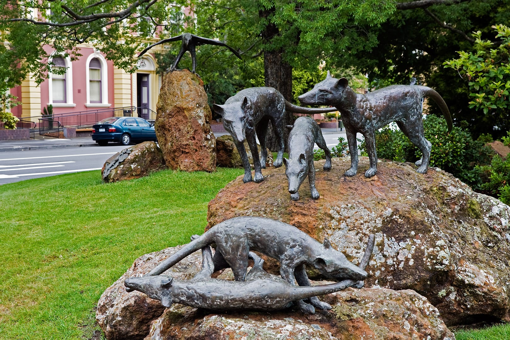 Australia — Launceston — urban