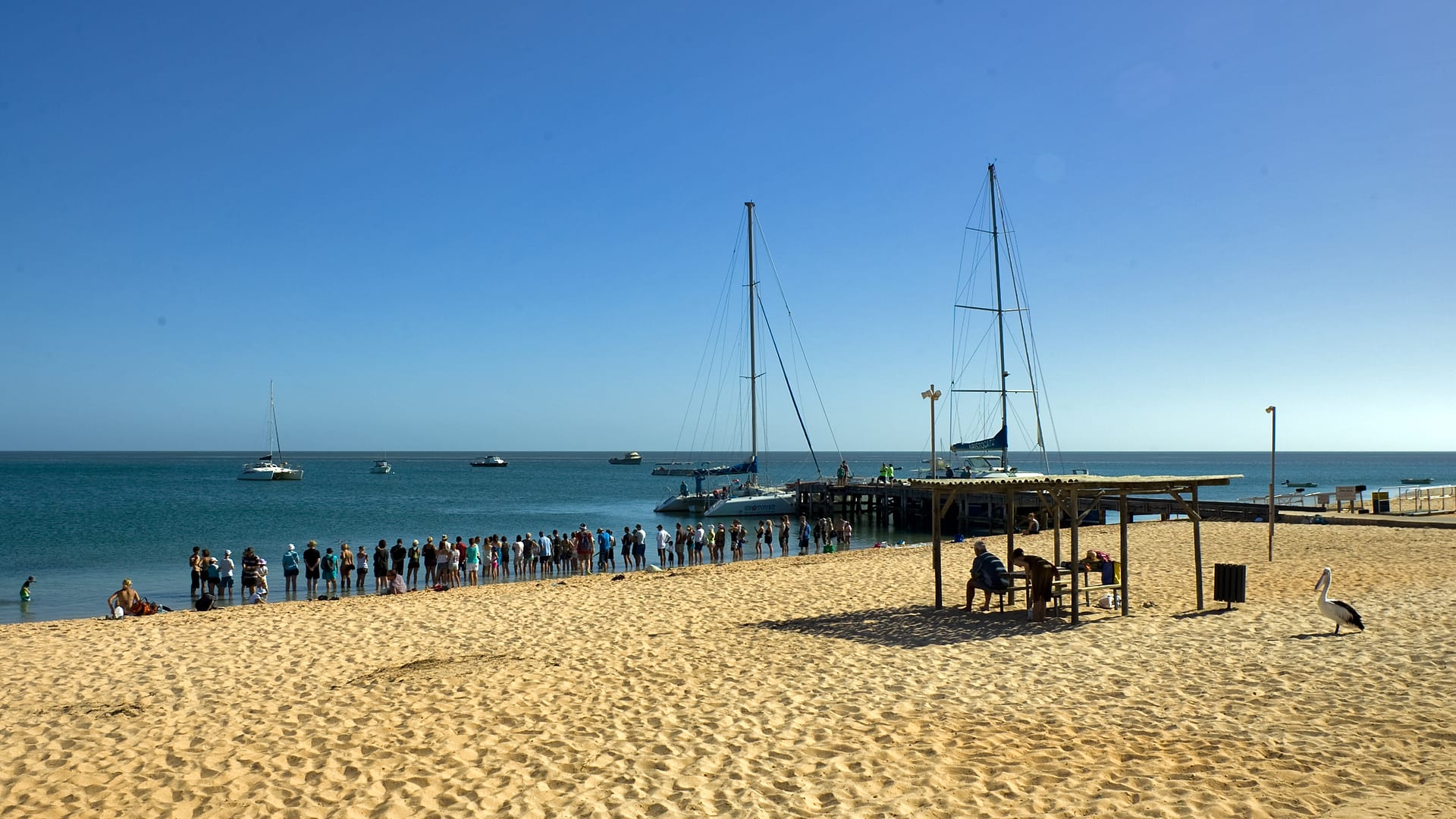 Australia — Monkey Mia — landscape