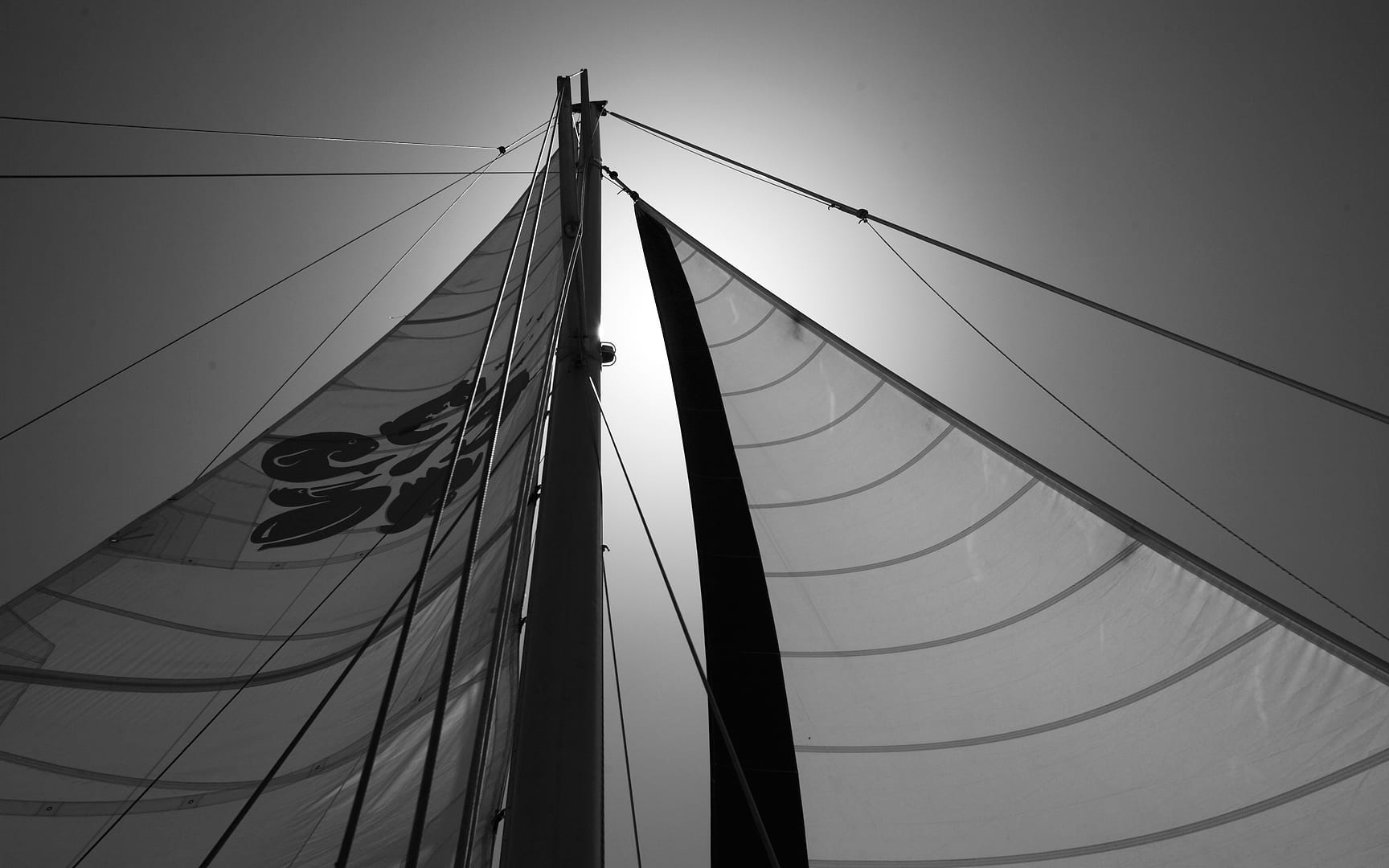 Australia — Monkey Mia — abstract