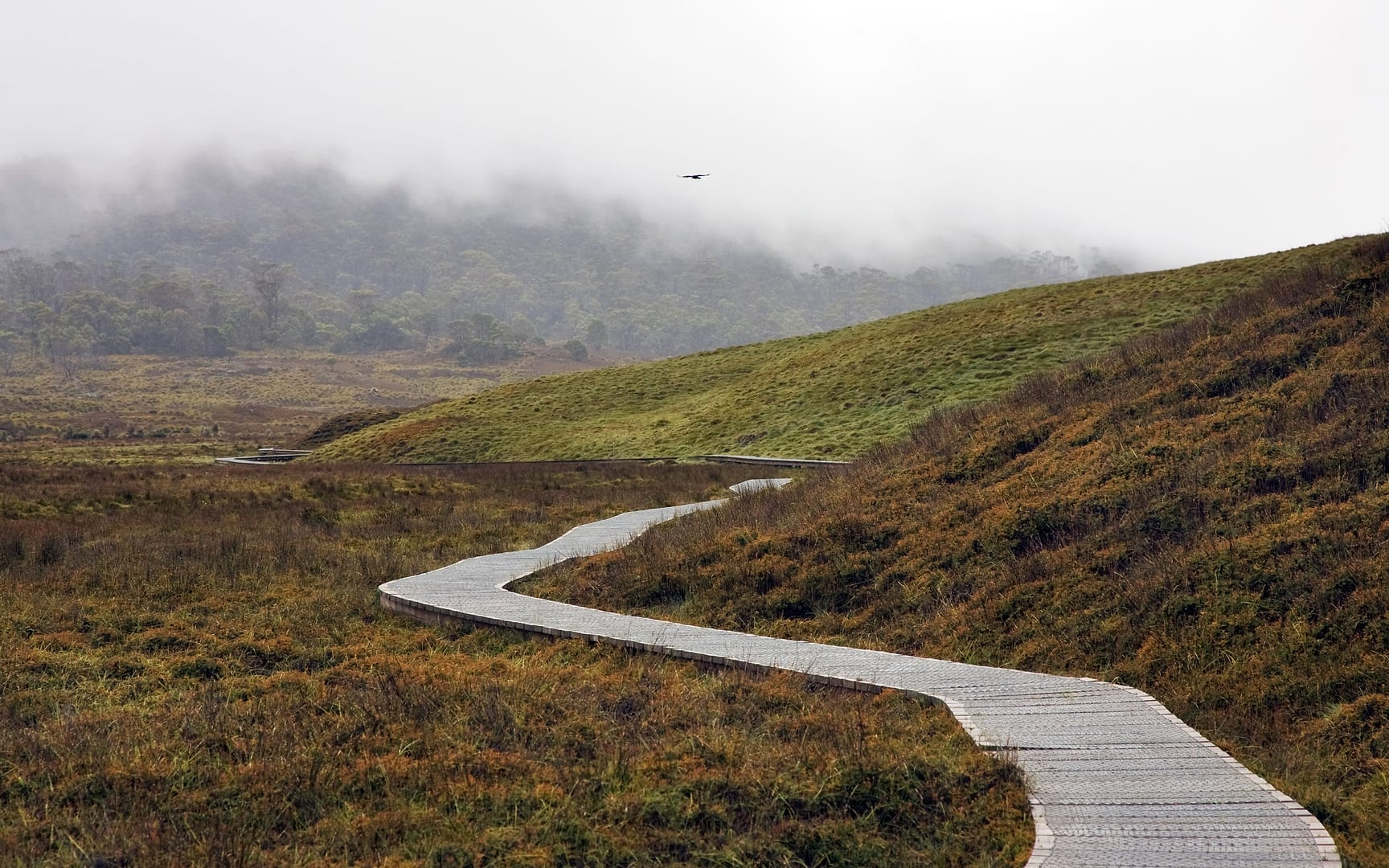 Australia — Overland Track — landscape