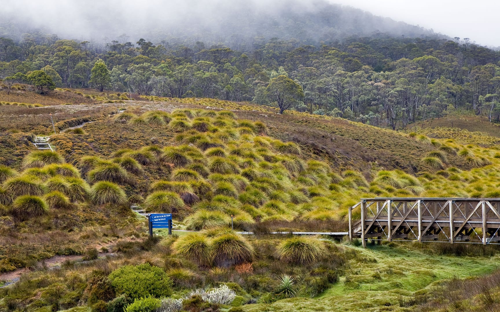 Australia — Overland Track — landscape
