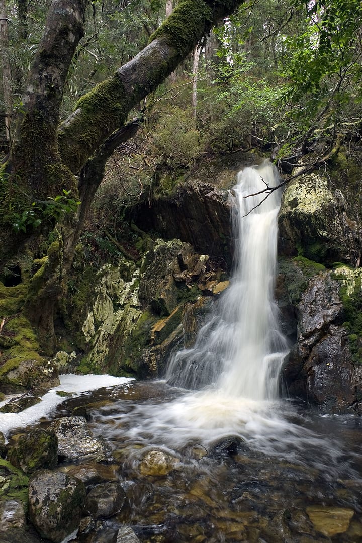 Australia — Overland Track — landscape