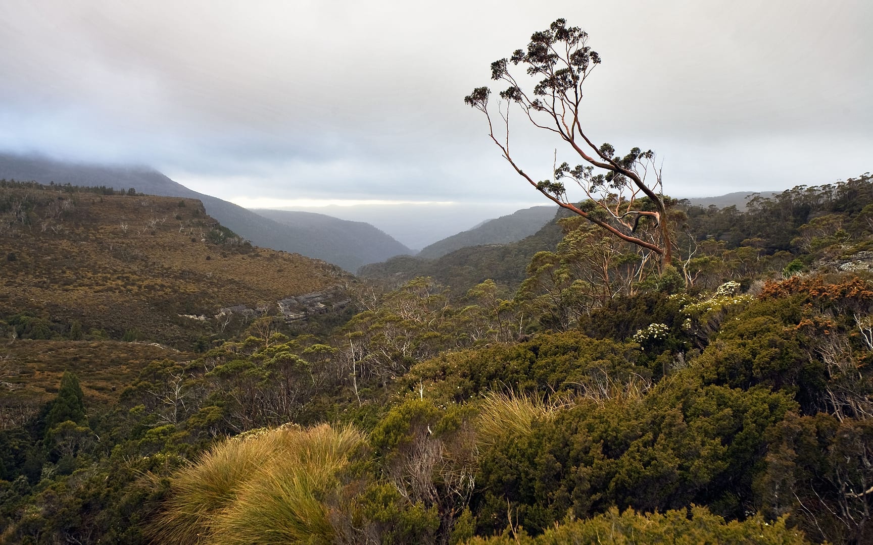 Australia — Overland Track — landscape