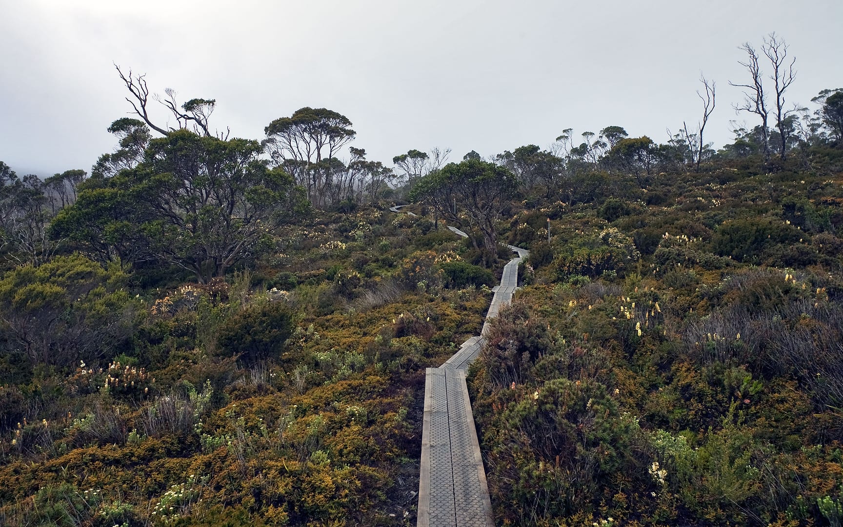 Australia — Overland Track — landscape