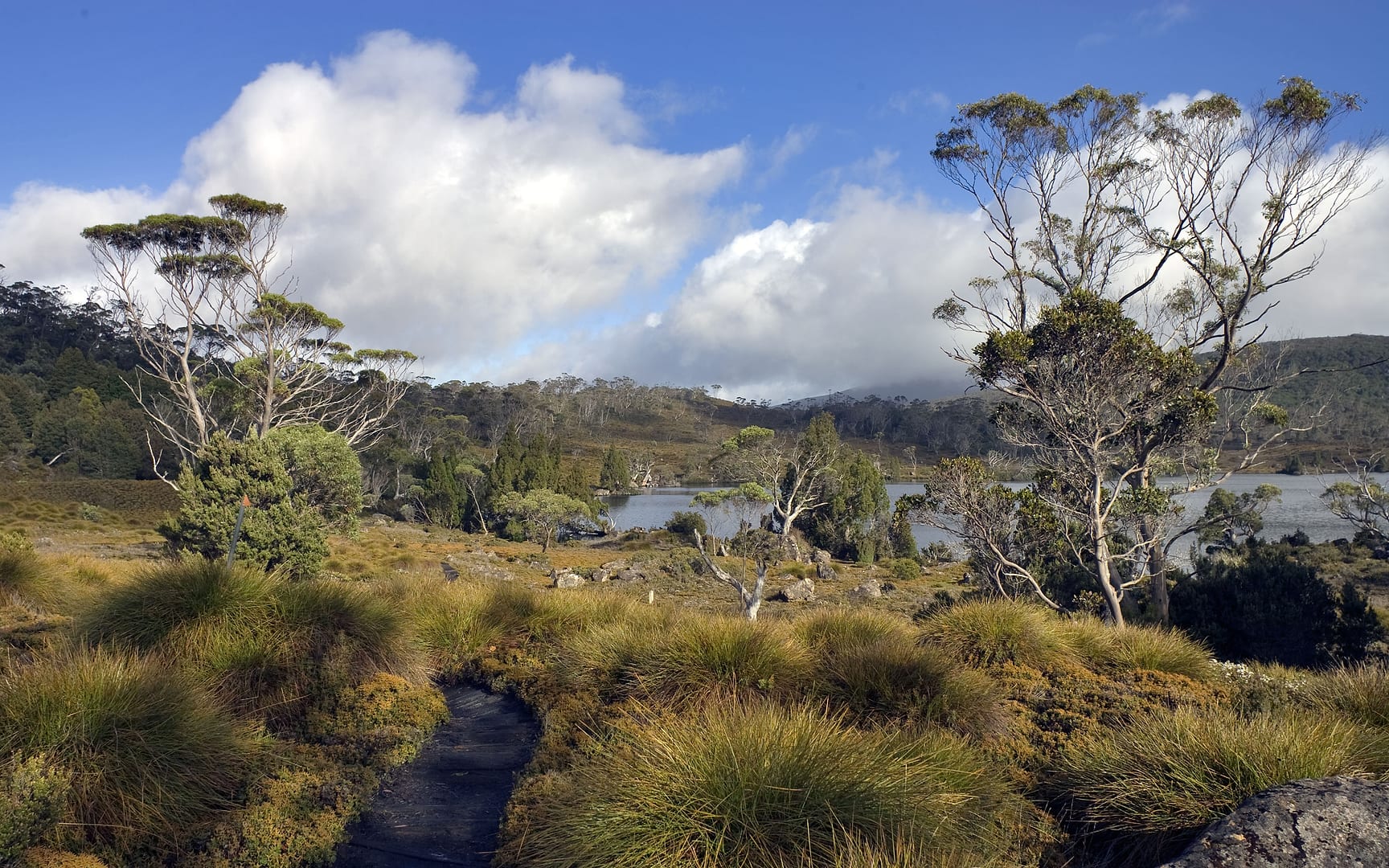 Australia — Overland Track — landscape