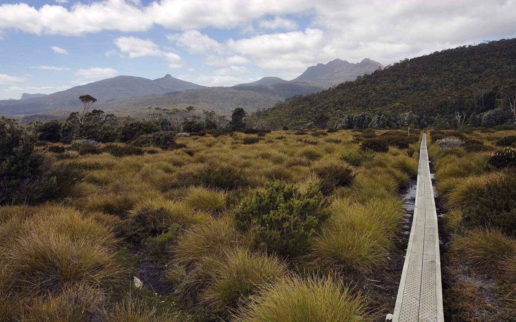 Australia — Overland Track — landscape
