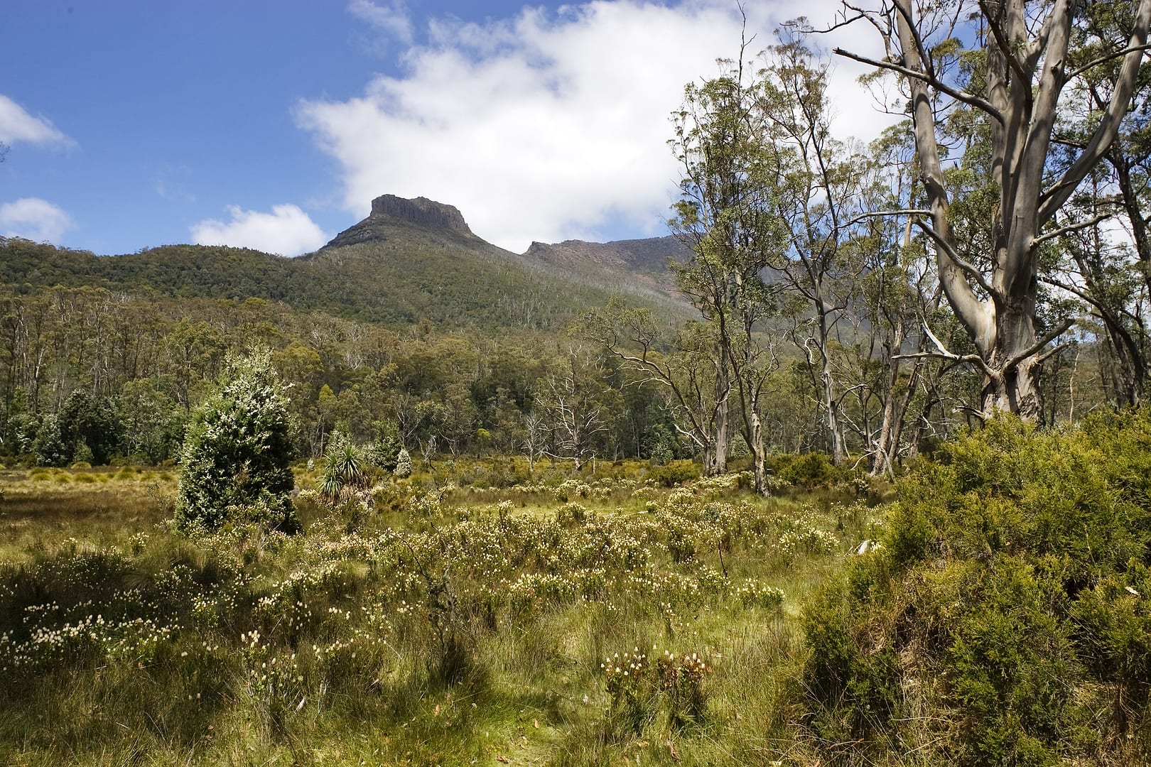 Australia — Overland Track — landscape