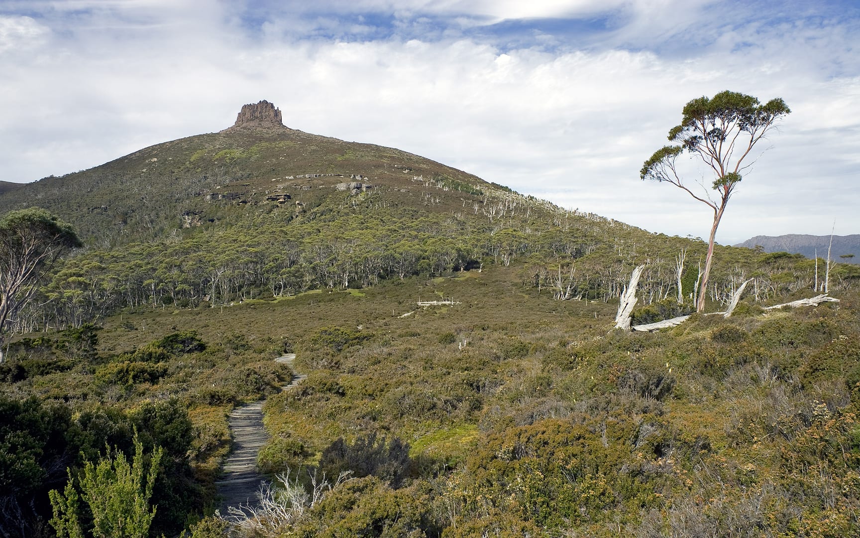 Australia — Overland Track — landscape
