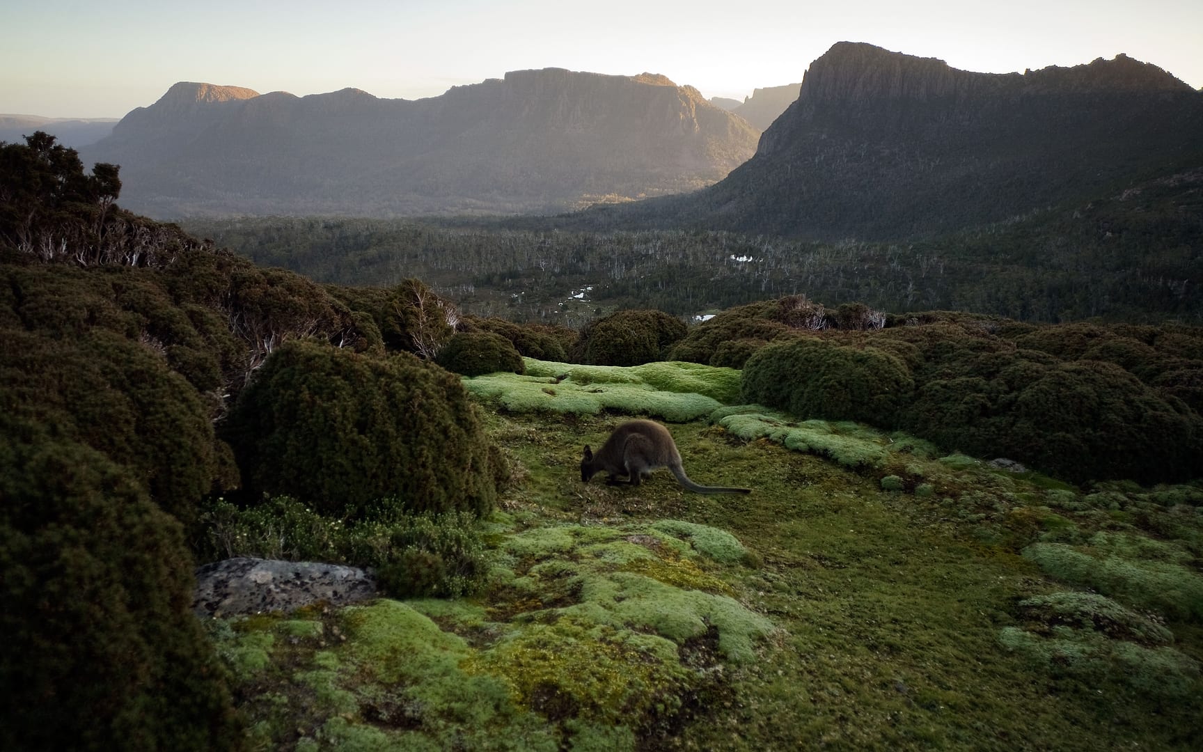 Australia — Overland Track — landscape