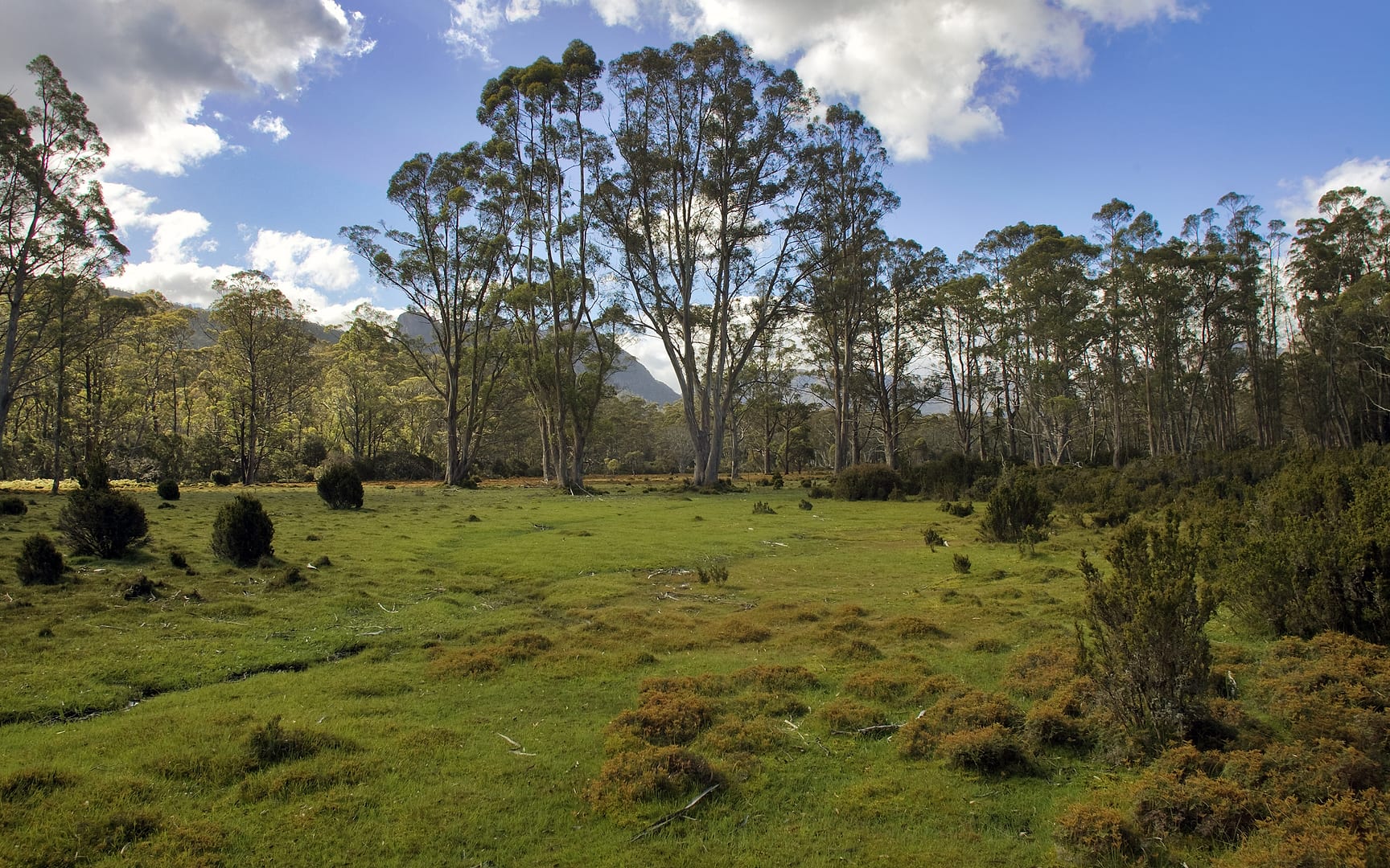 Australia — Overland Track — landscape