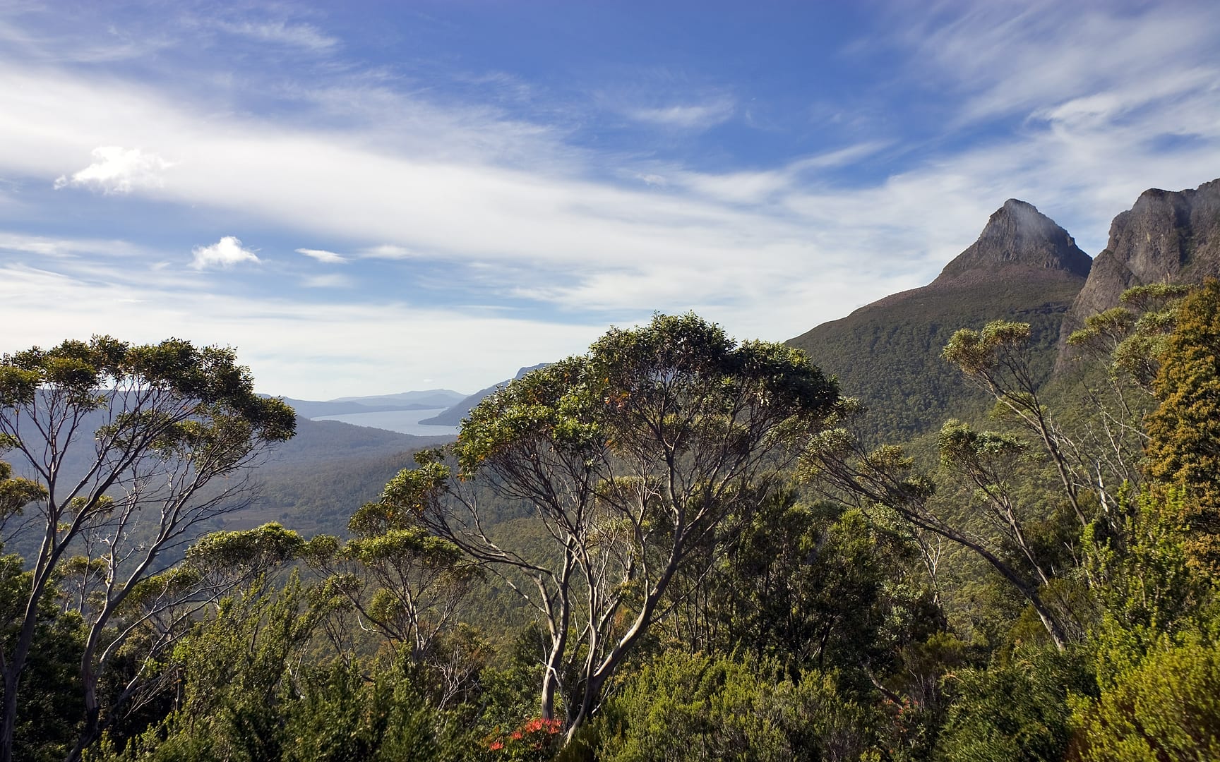 Australia — Overland Track — landscape