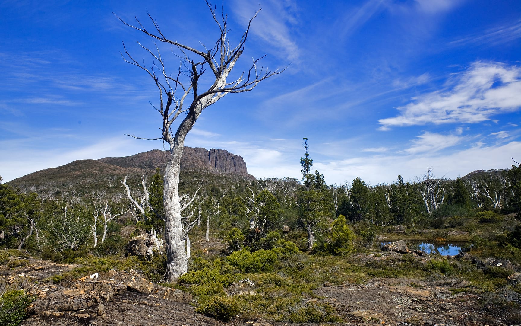 Australia — Overland Track — landscape
